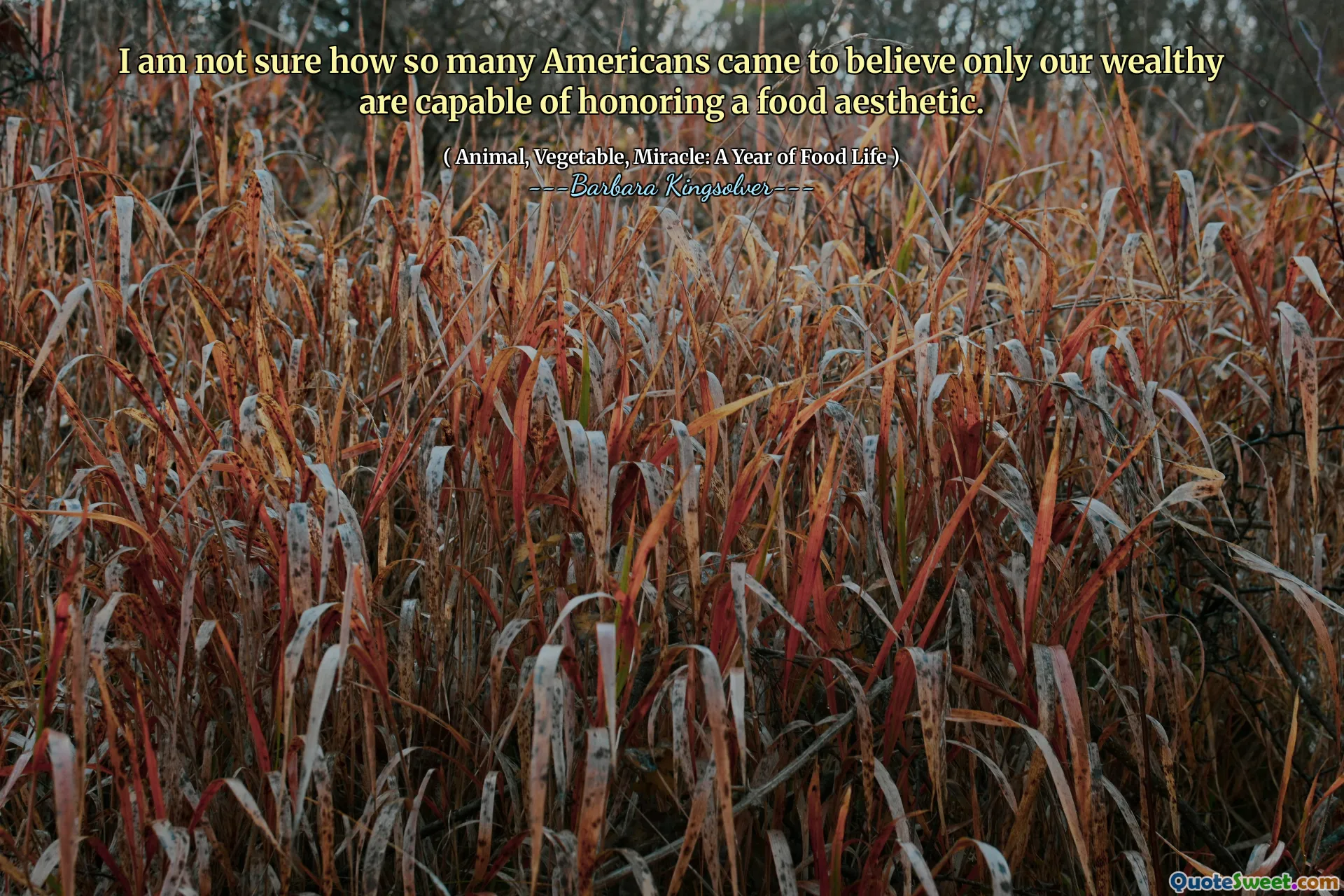 Nejsem si jistý, kolik tolik Američanů přišlo věřit, že pouze naši bohatí jsou schopni ctít estetiku jídla.