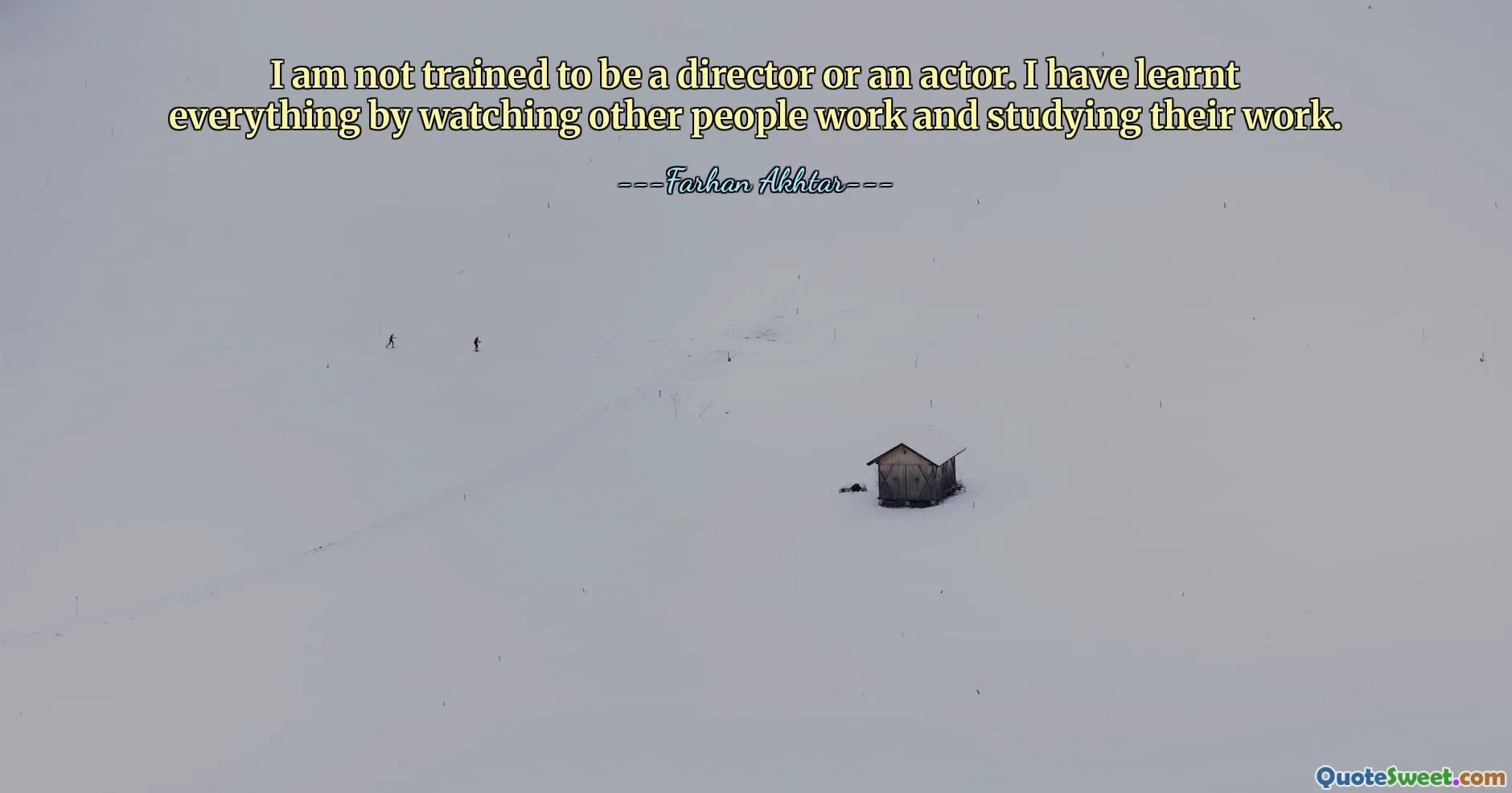 No estoy capacitado para ser director o actor. Lo he aprendido todo viendo trabajar a otras personas y estudiando su trabajo.
