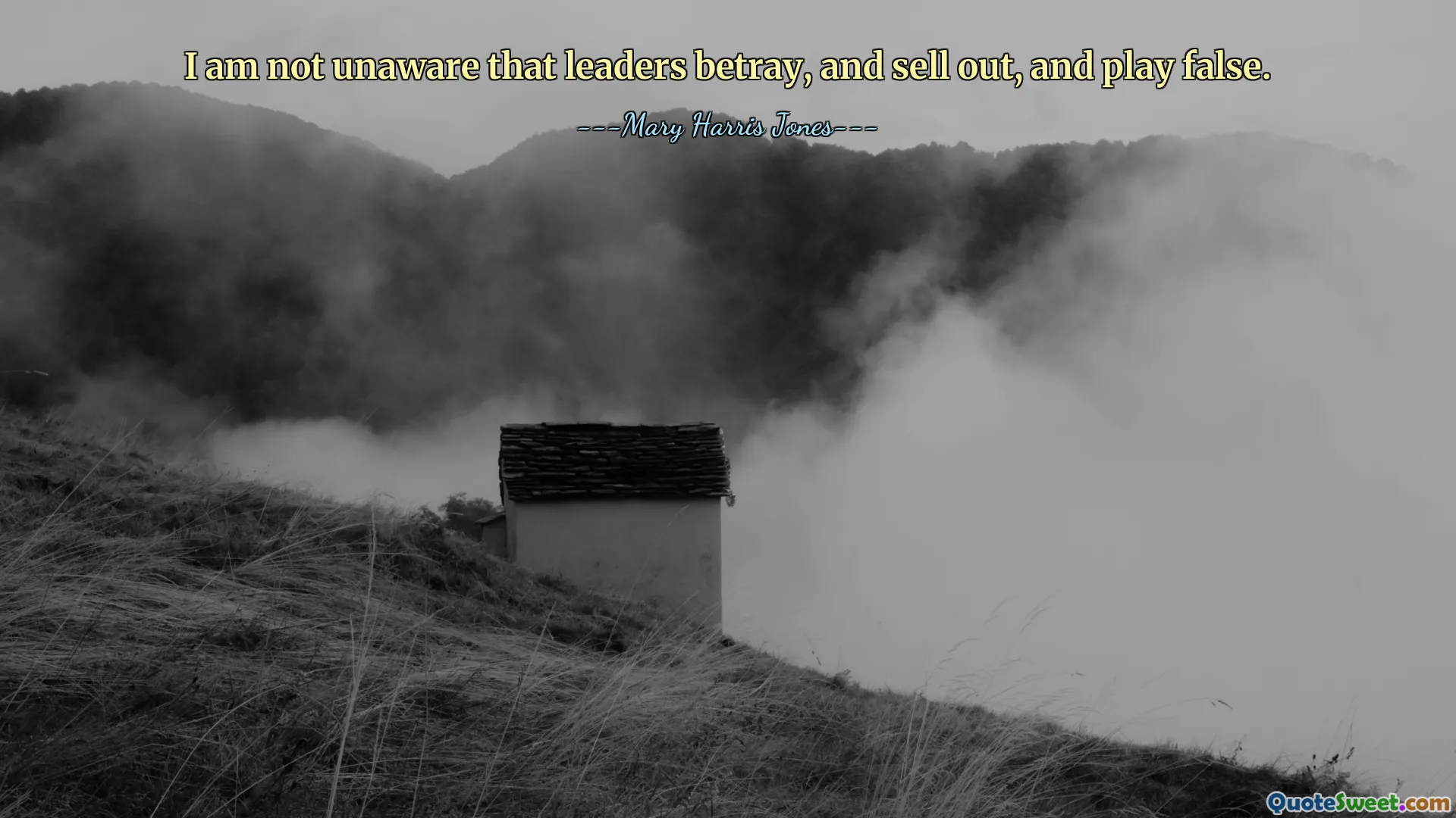 I am not unaware that leaders betray, and sell out, and play false.