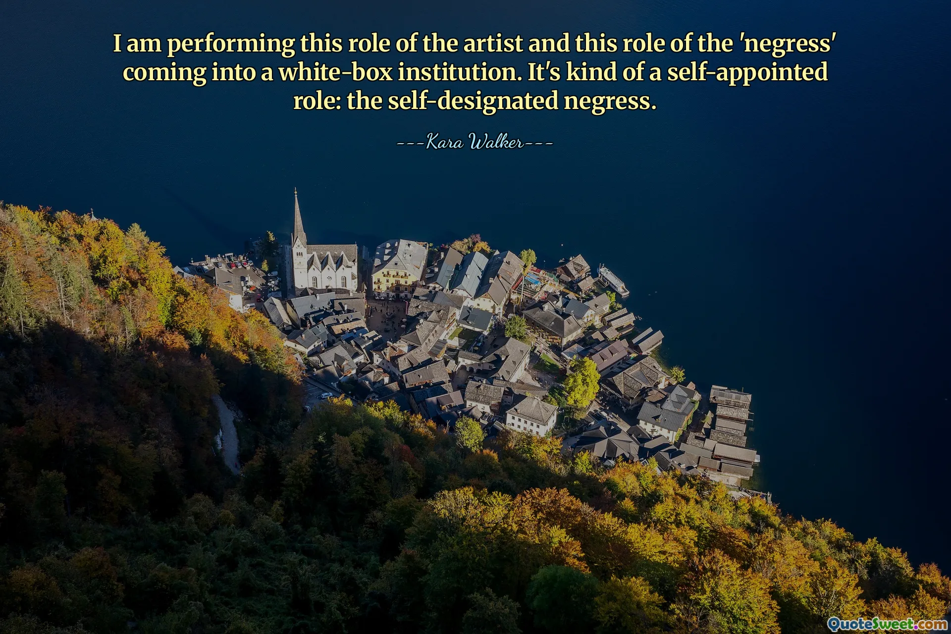 I am performing this role of the artist and this role of the 'negress' coming into a white-box institution. It's kind of a self-appointed role: the self-designated negress.
