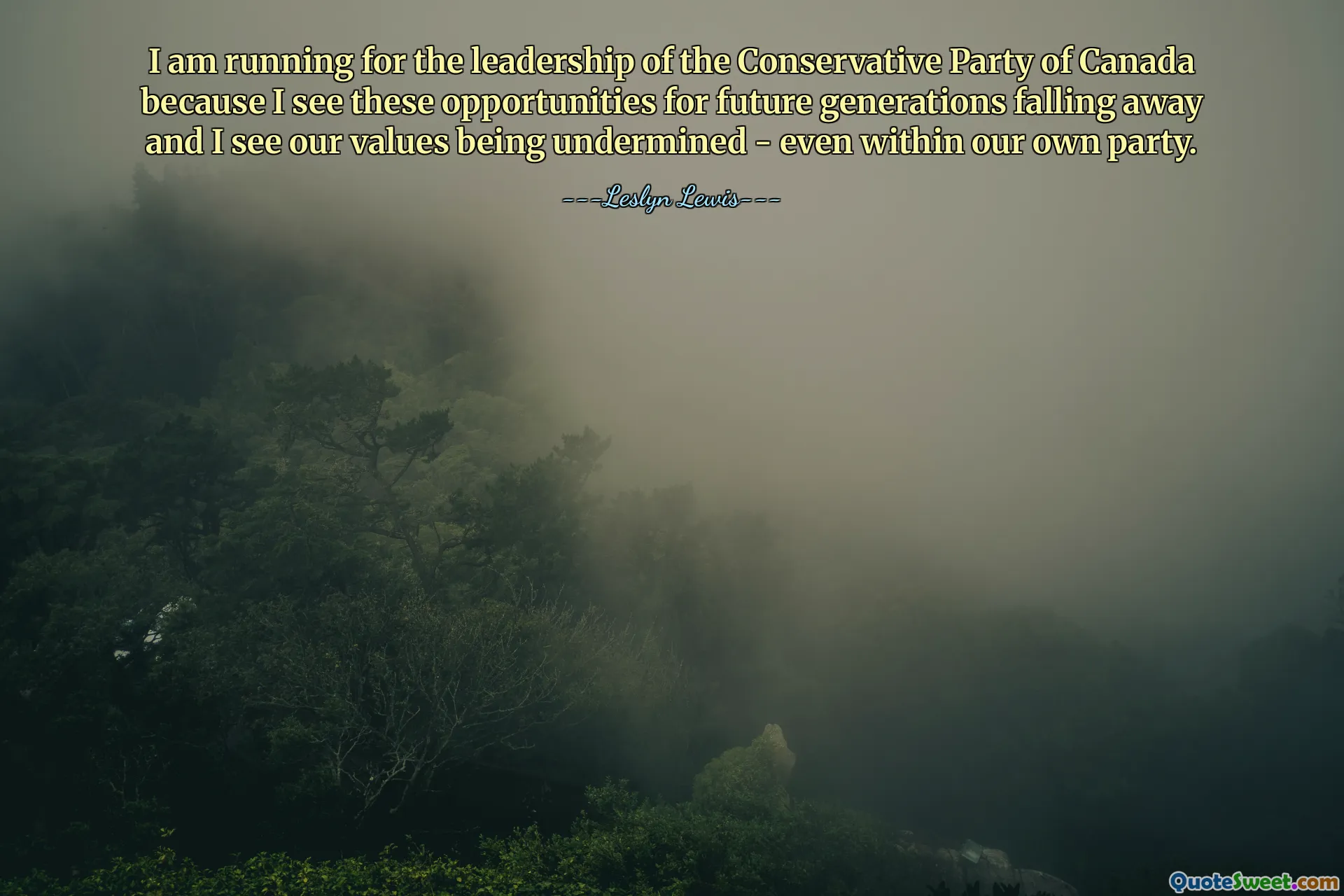 I am running for the leadership of the Conservative Party of Canada because I see these opportunities for future generations falling away and I see our values being undermined - even within our own party.