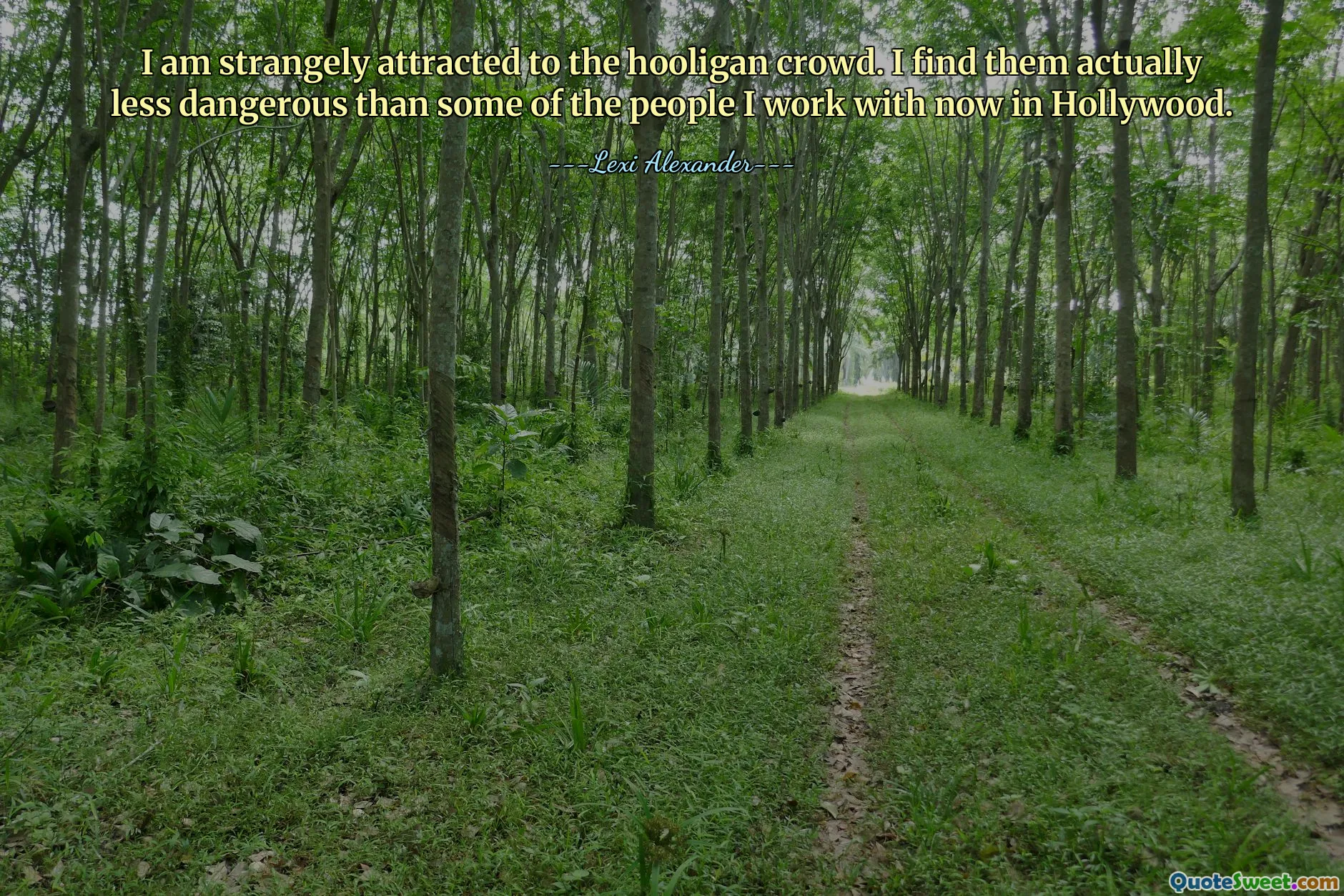 I am strangely attracted to the hooligan crowd. I find them actually less dangerous than some of the people I work with now in Hollywood.