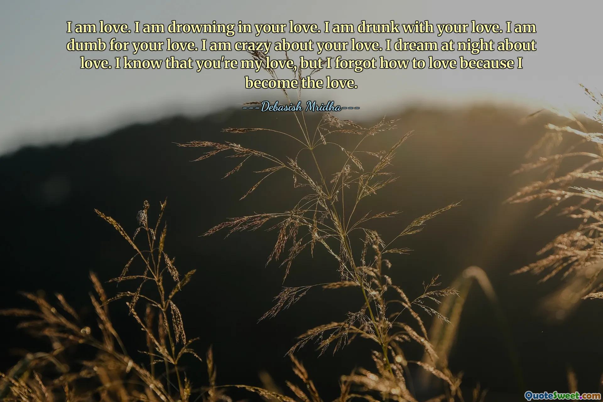 I am love. I am drowning in your love. I am drunk with your love. I am dumb for your love. I am crazy about your love. I dream at night about love. I know that you're my love, but I forgot how to love because I become the love.