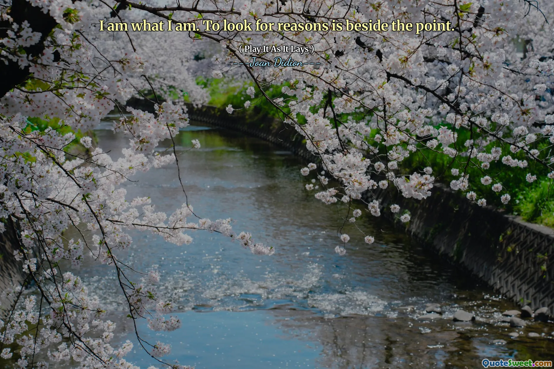 Я такой, какой я есть. Искать причины, не так ли.