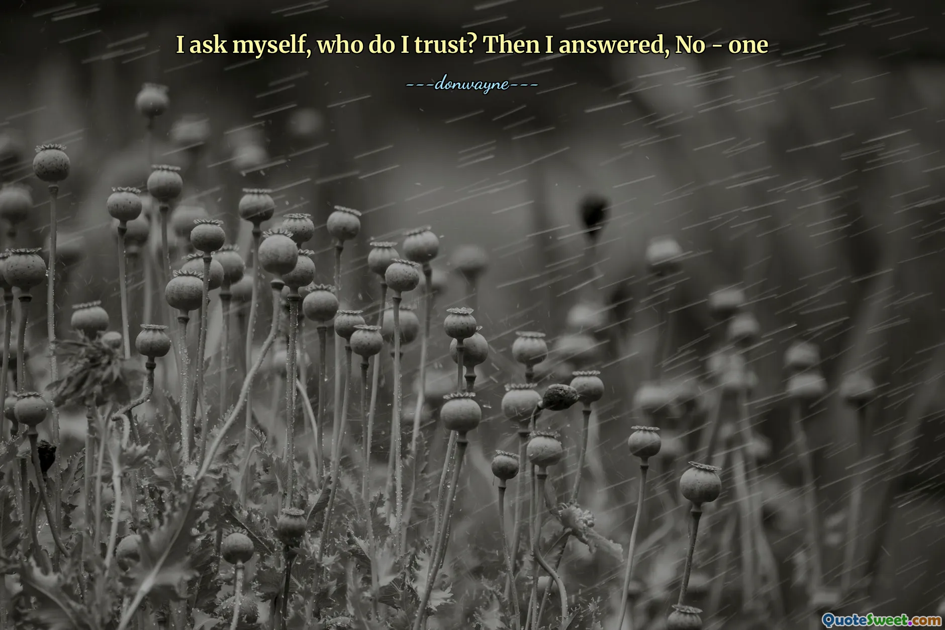 I ask myself, who do I trust? Then I answered, No - one