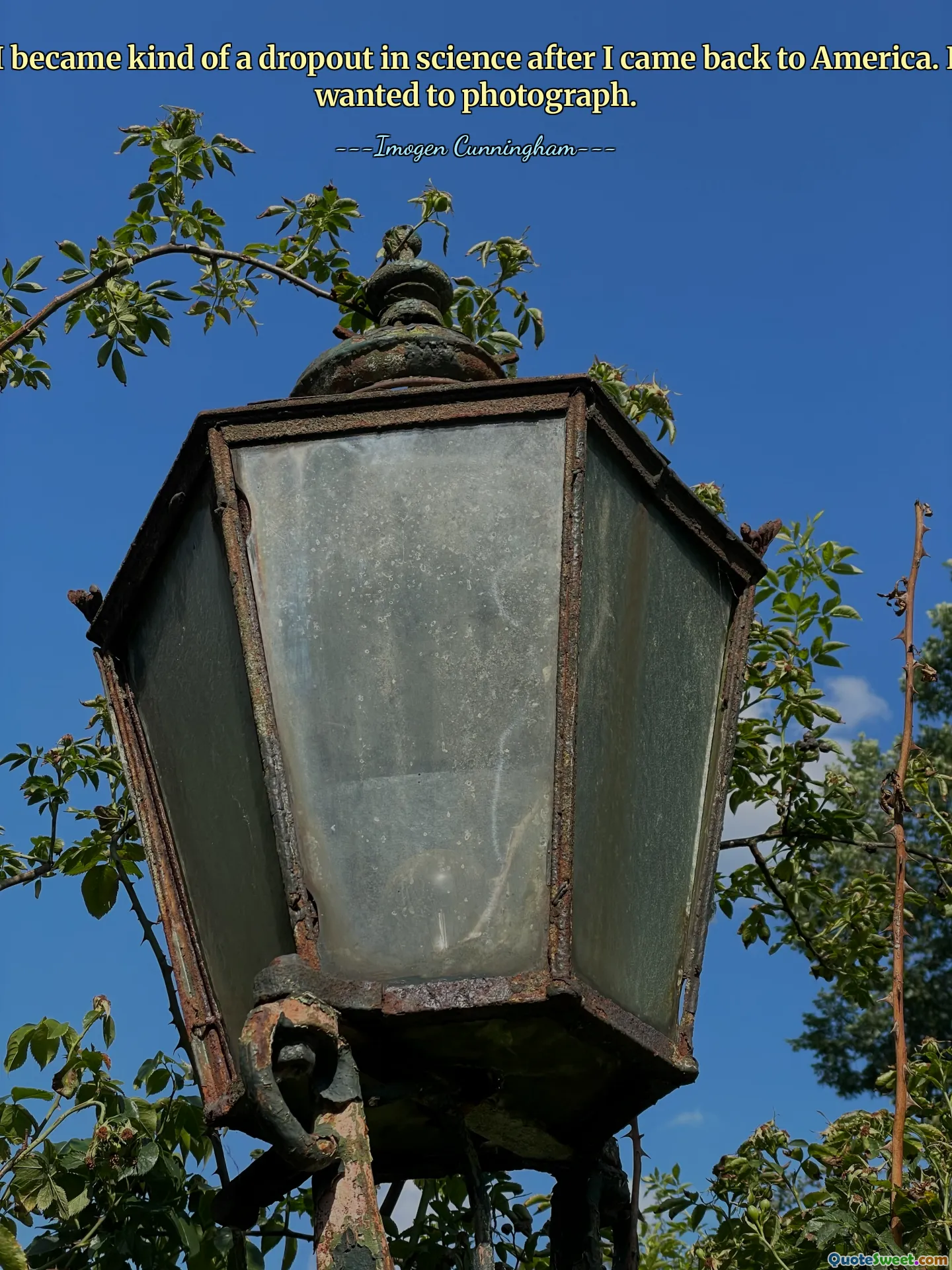 Je suis devenu une sorte de décroché en sciences après mon retour en Amérique. Je voulais photographier.