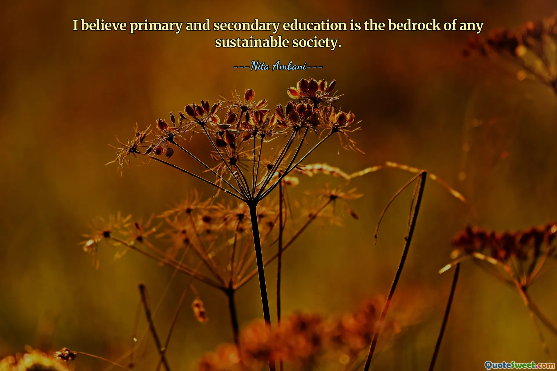Acredito que o ensino primário e secundário é a base de qualquer sociedade sustentável.