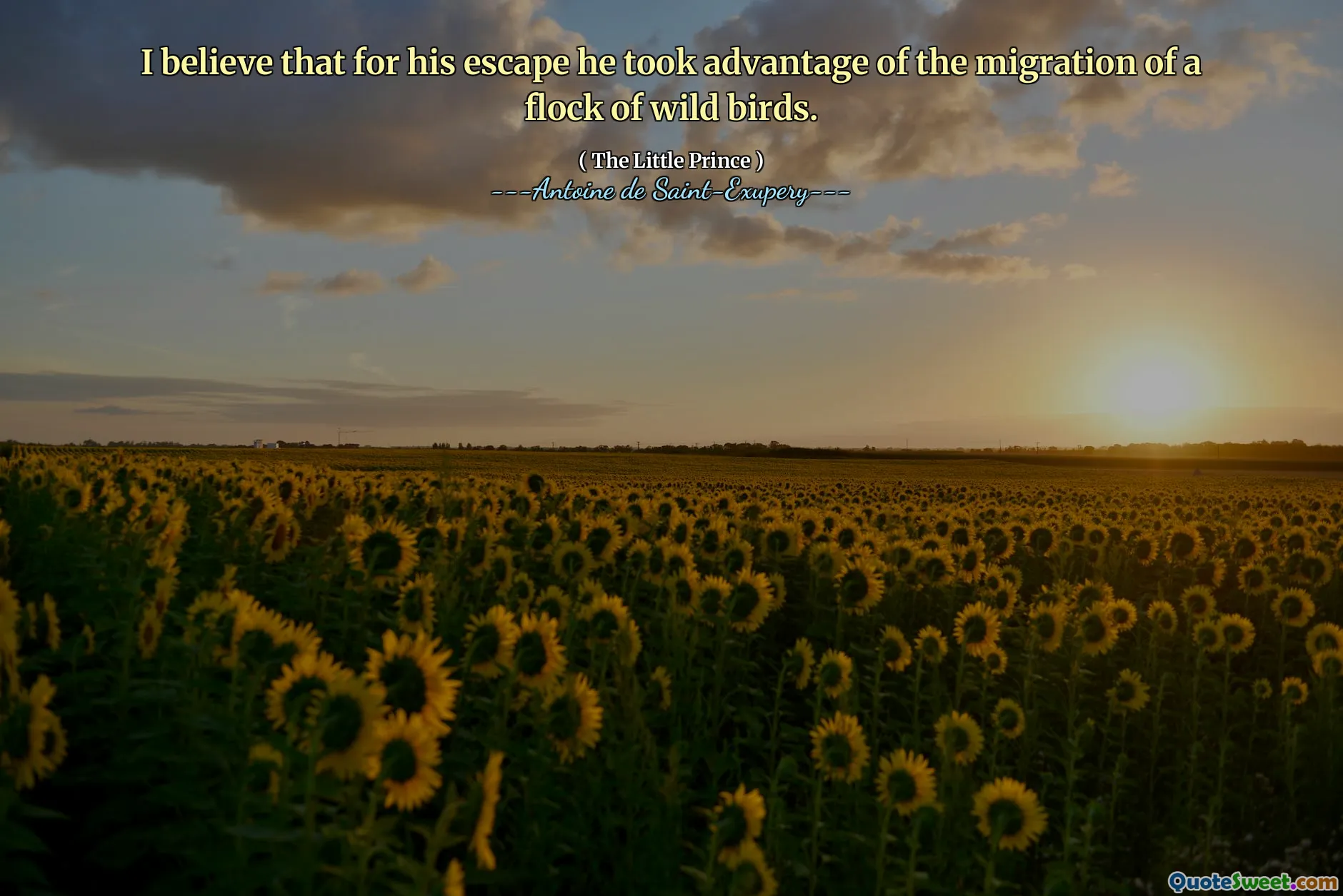 I believe that for his escape he took advantage of the migration of a flock of wild birds.