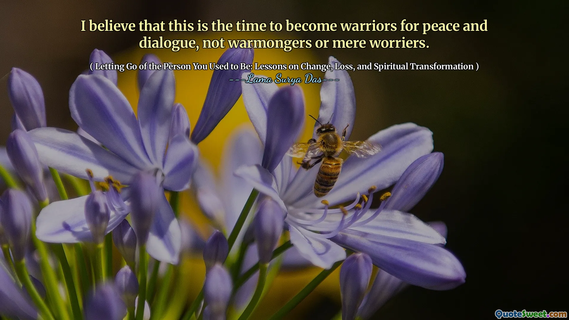 Cred că acesta este momentul pentru a deveni războinici pentru pace și dialog, nu încălzitori sau simpli purtători.