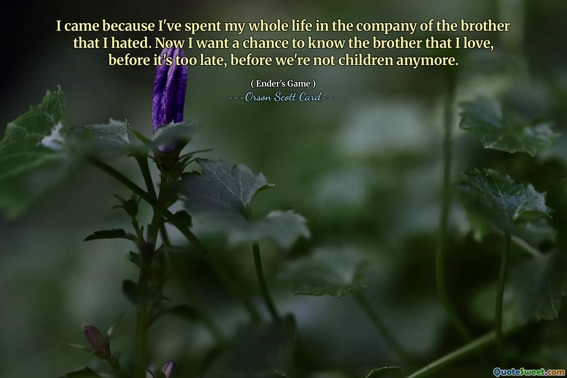 I came because I've spent my whole life in the company of the brother that I hated. Now I want a chance to know the brother that I love, before it's too late, before we're not children anymore.