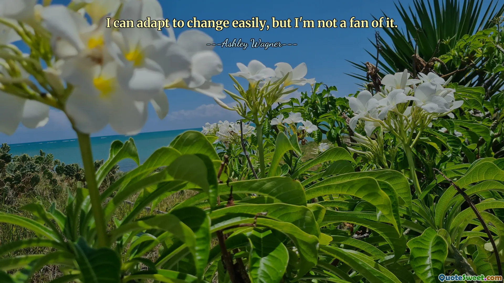 I can adapt to change easily, but I'm not a fan of it.