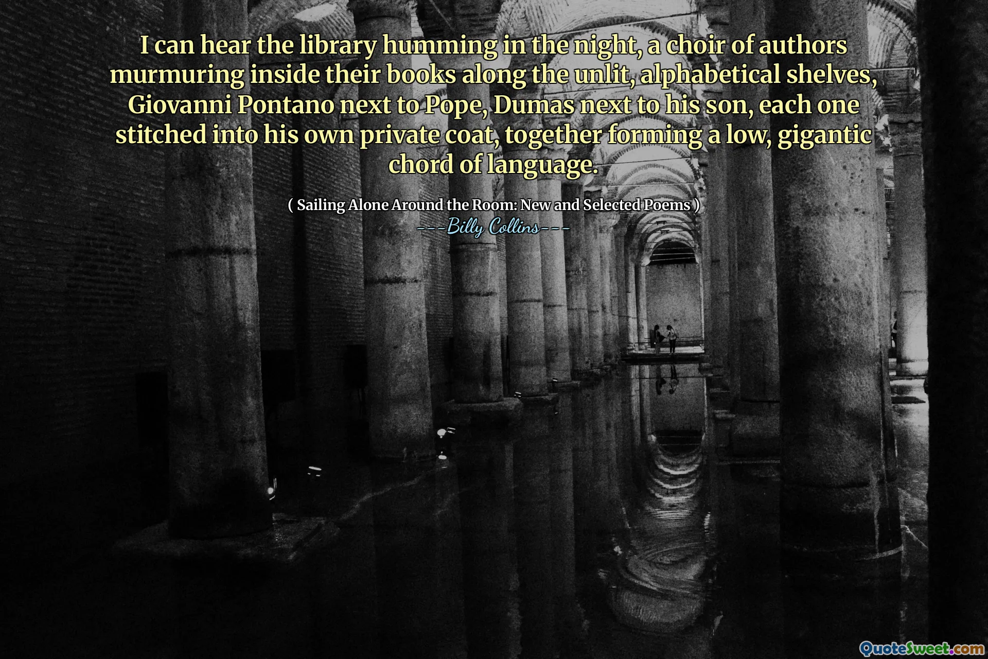 I can hear the library humming in the night, a choir of authors murmuring inside their books along the unlit, alphabetical shelves, Giovanni Pontano next to Pope, Dumas next to his son, each one stitched into his own private coat, together forming a low, gigantic chord of language.