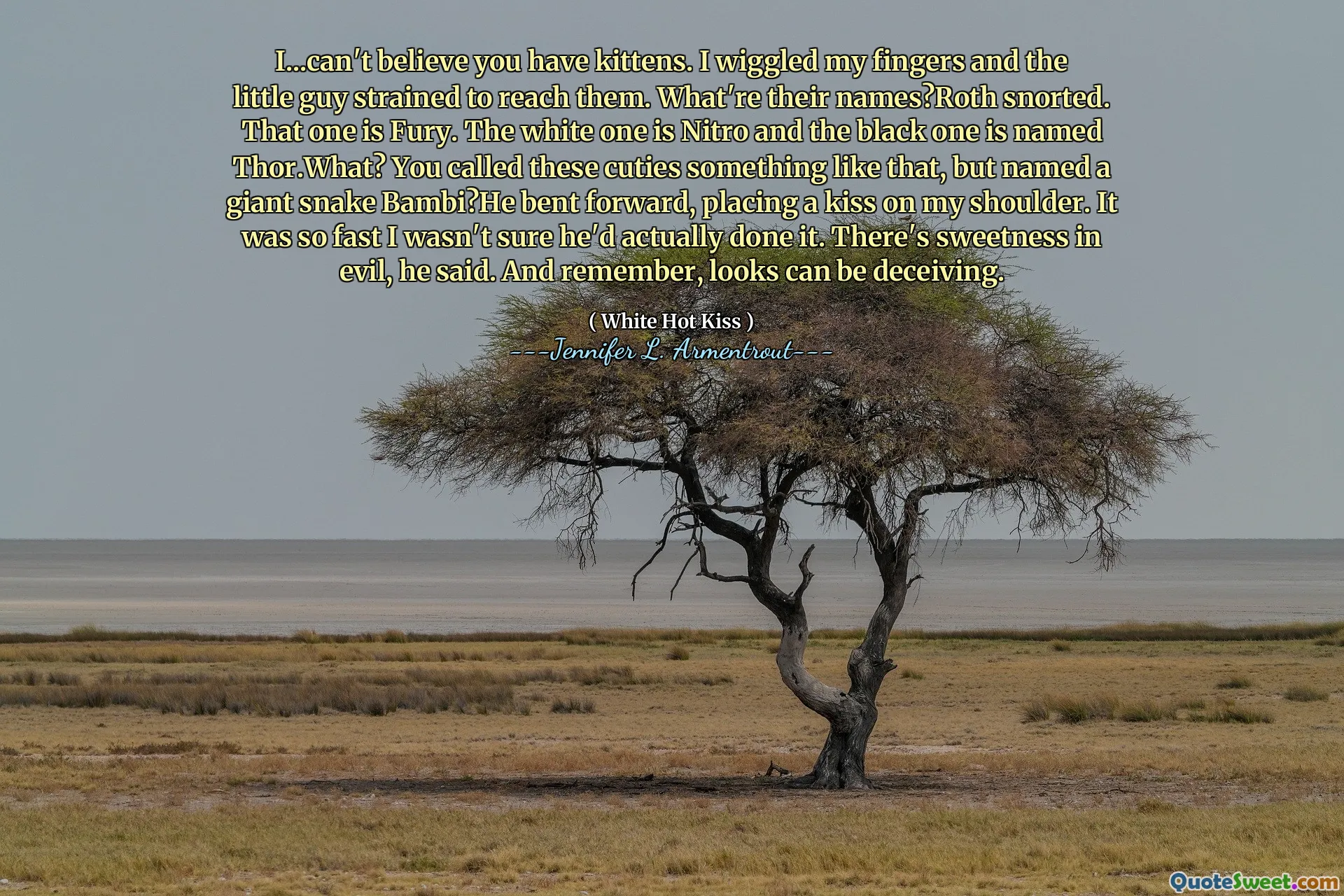 I...can't believe you have kittens. I wiggled my fingers and the little guy strained to reach them. What're their names?Roth snorted. That one is Fury. The white one is Nitro and the black one is named Thor.What? You called these cuties something like that, but named a giant snake Bambi?He bent forward, placing a kiss on my shoulder. It was so fast I wasn't sure he'd actually done it. There's sweetness in evil, he said. And remember, looks can be deceiving.