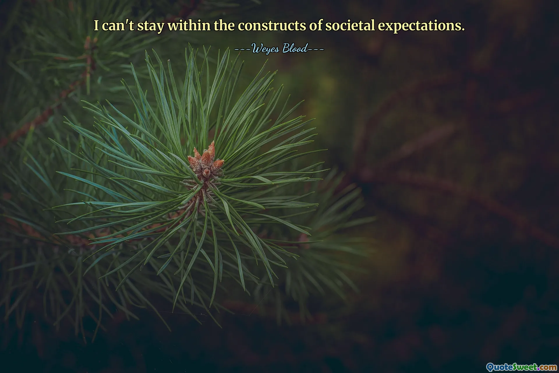 I can't stay within the constructs of societal expectations.