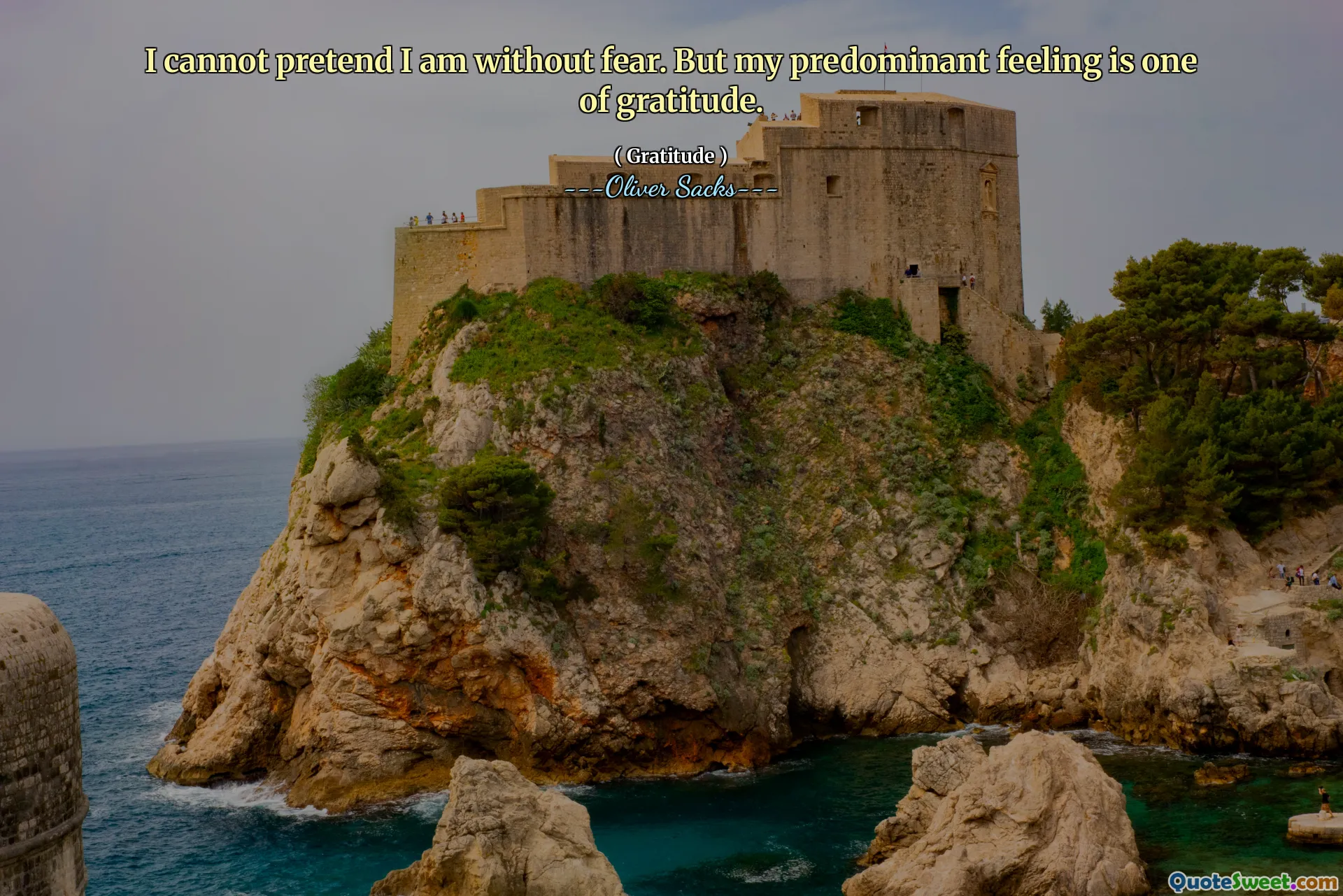 I cannot pretend I am without fear. But my predominant feeling is one of gratitude.