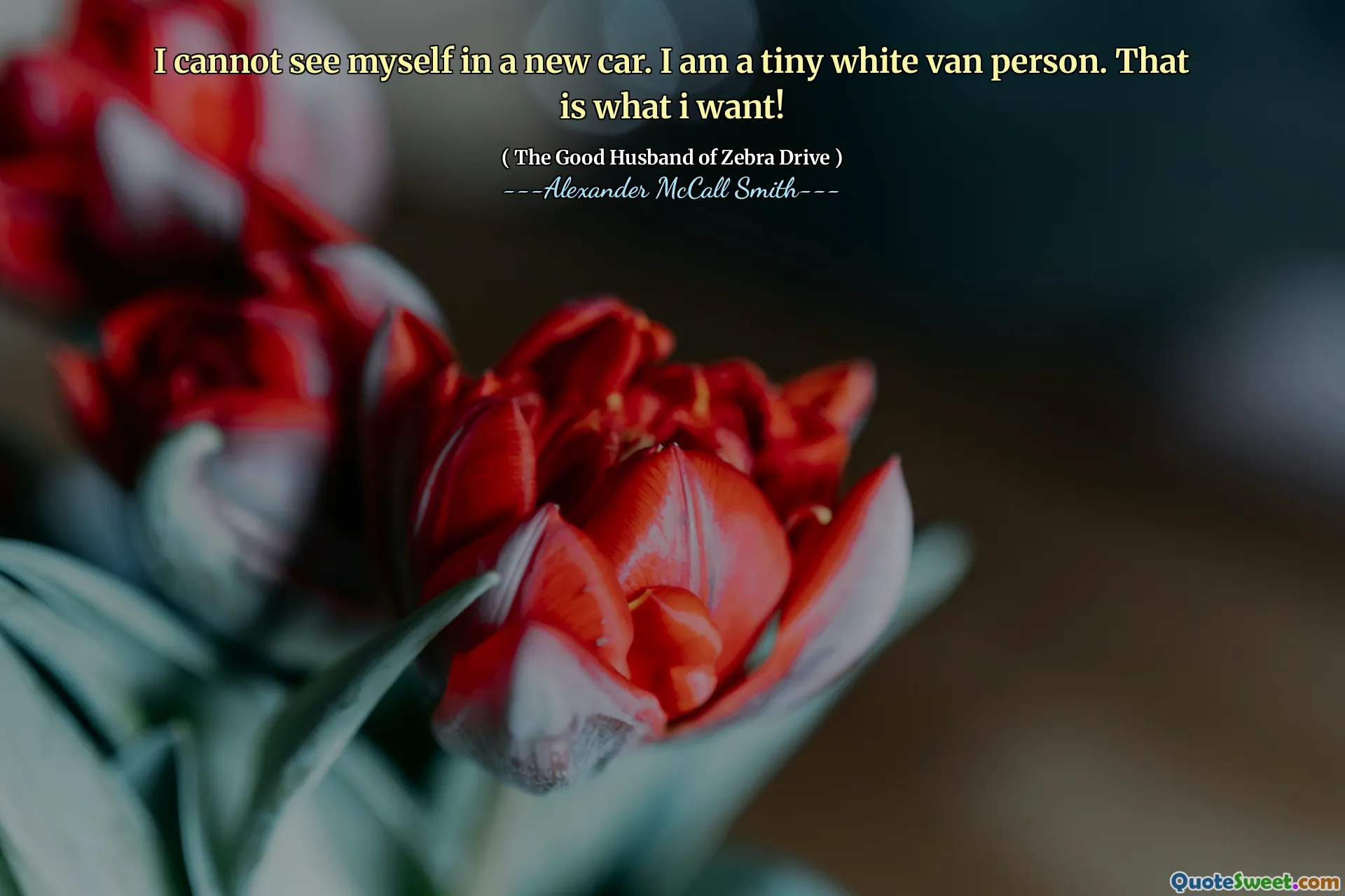 I cannot see myself in a new car. I am a tiny white van person. That is what i want!