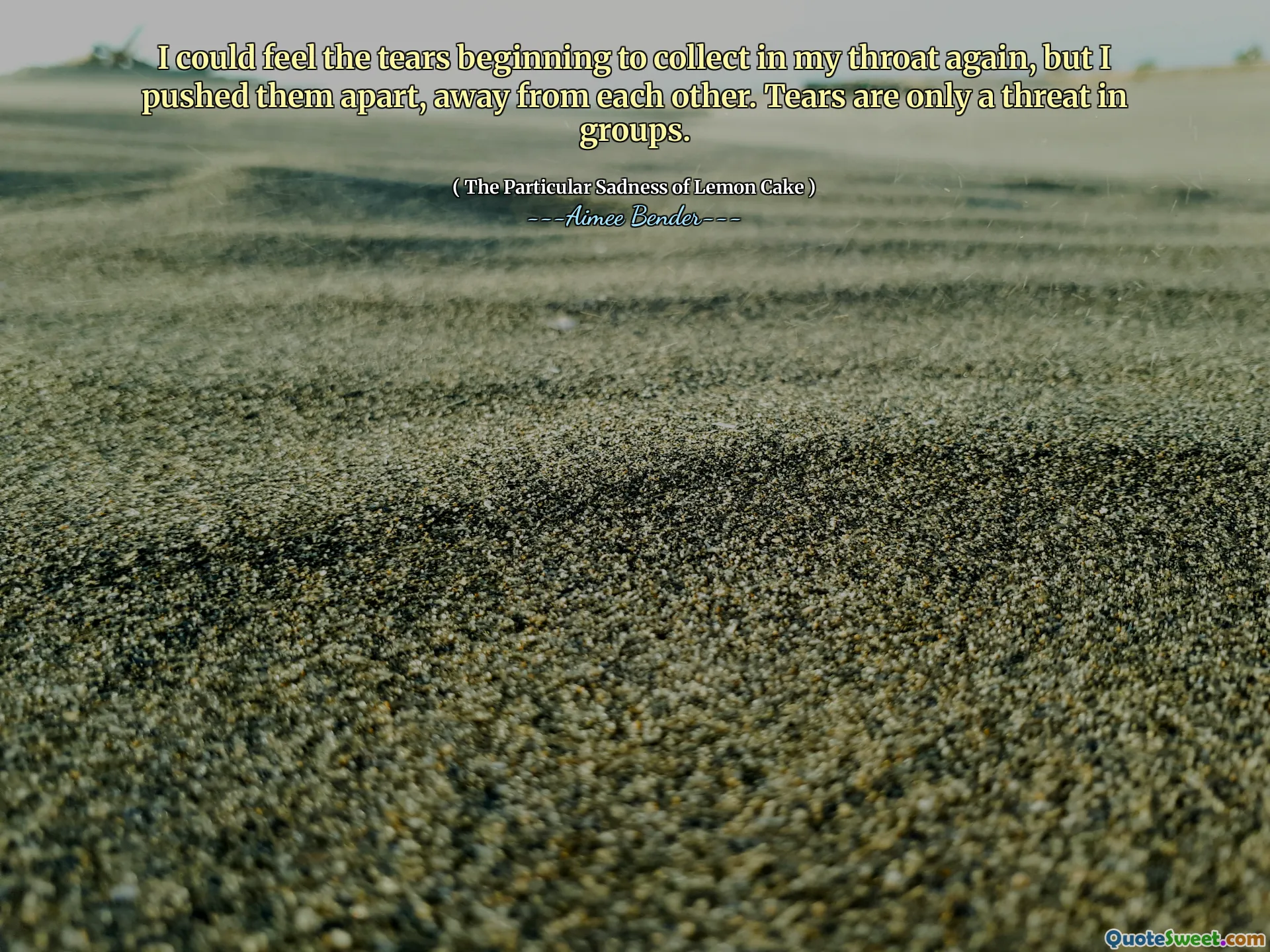 I could feel the tears beginning to collect in my throat again, but I pushed them apart, away from each other. Tears are only a threat in groups.