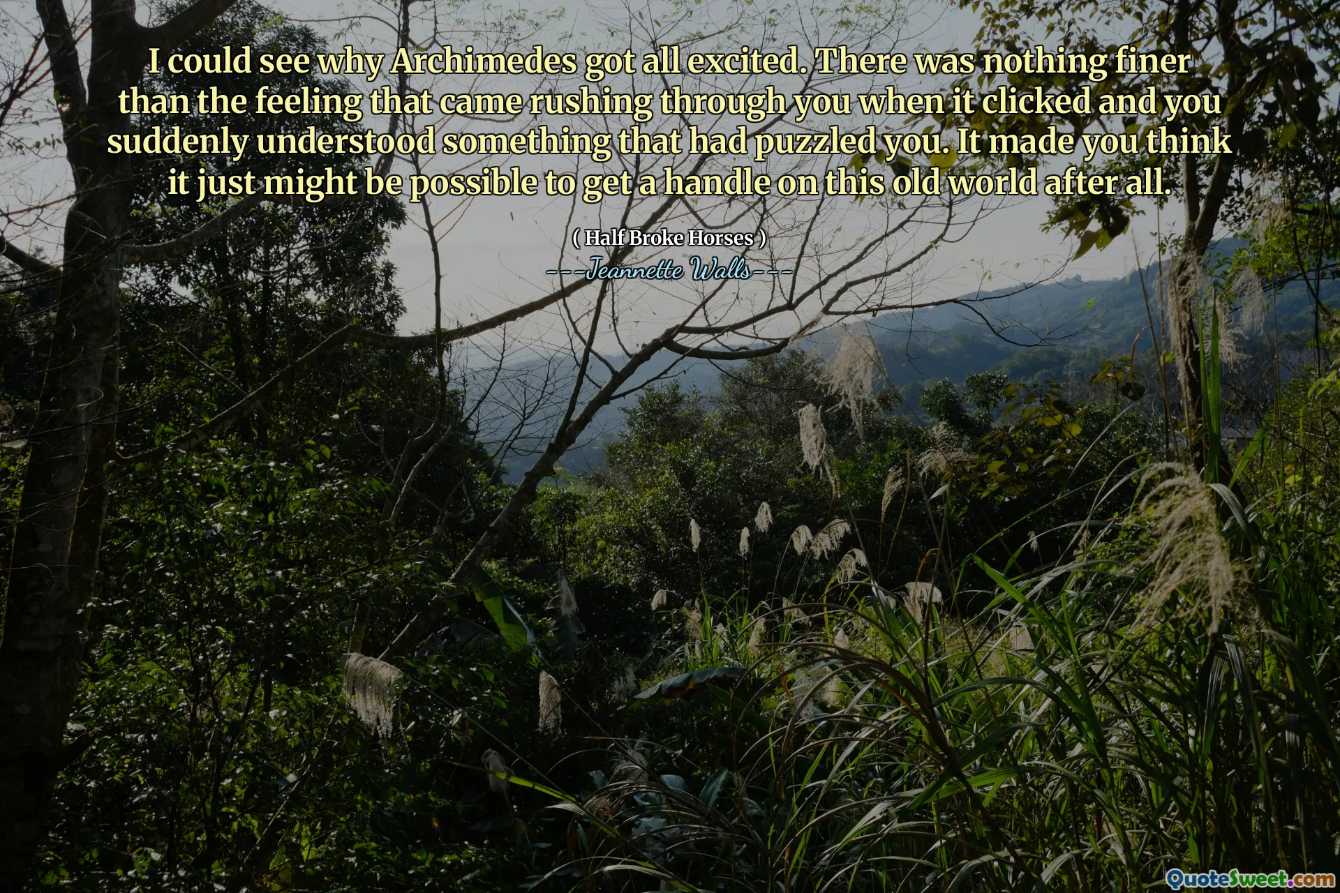 我明白了为什么阿基米德都感到兴奋。没有什么比当您点击时冲过您的感觉更美好了，您突然了解了一些困惑的东西。这使您认为毕竟可以解决这个旧世界。