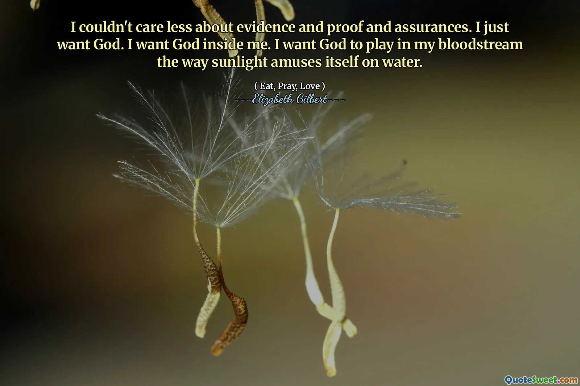 I couldn't care less about evidence and proof and assurances. I just want God. I want God inside me. I want God to play in my bloodstream the way sunlight amuses itself on water.