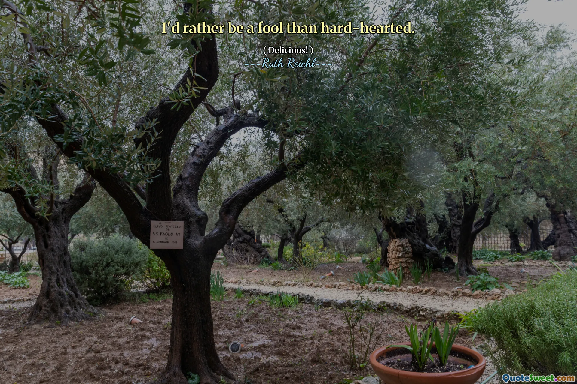 I'd rather be a fool than hard-hearted.