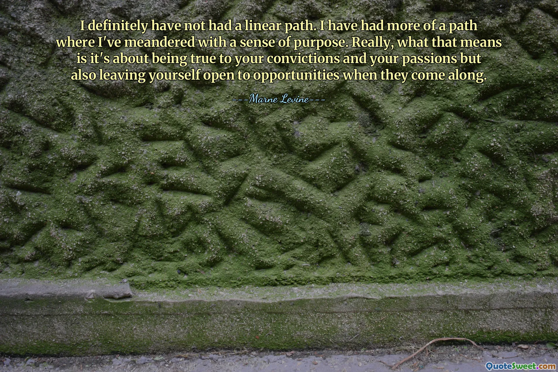 I definitely have not had a linear path. I have had more of a path where I've meandered with a sense of purpose. Really, what that means is it's about being true to your convictions and your passions but also leaving yourself open to opportunities when they come along.