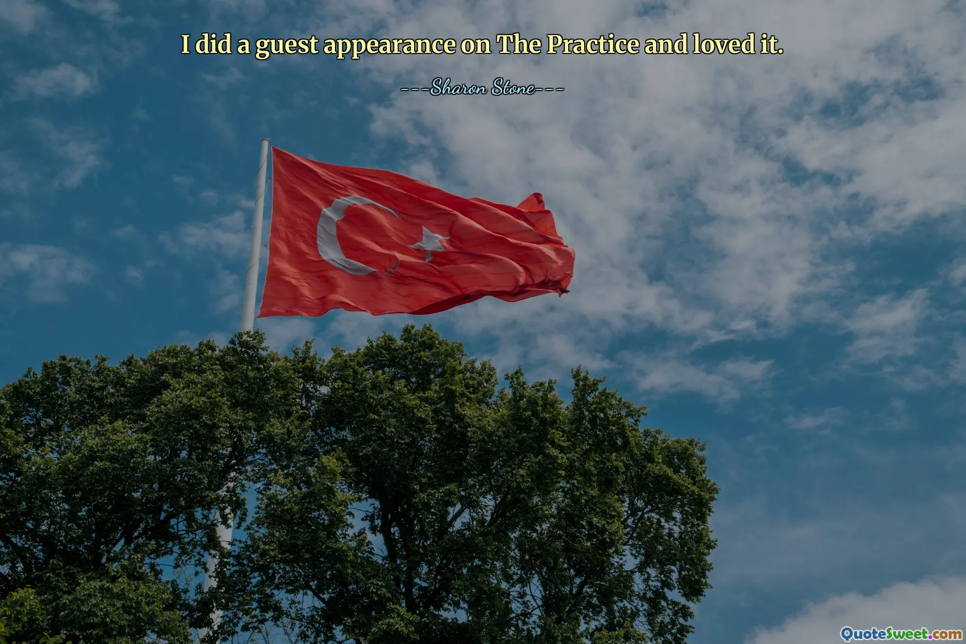 I did a guest appearance on The Practice and loved it.