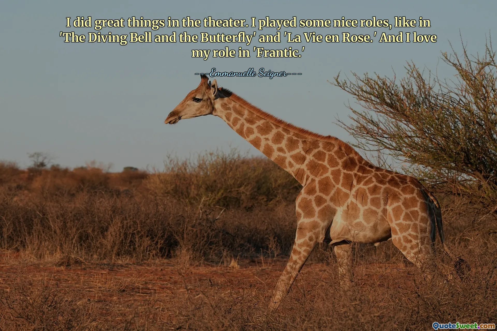 I did great things in the theater. I played some nice roles, like in 'The Diving Bell and the Butterfly' and 'La Vie en Rose.' And I love my role in 'Frantic.'