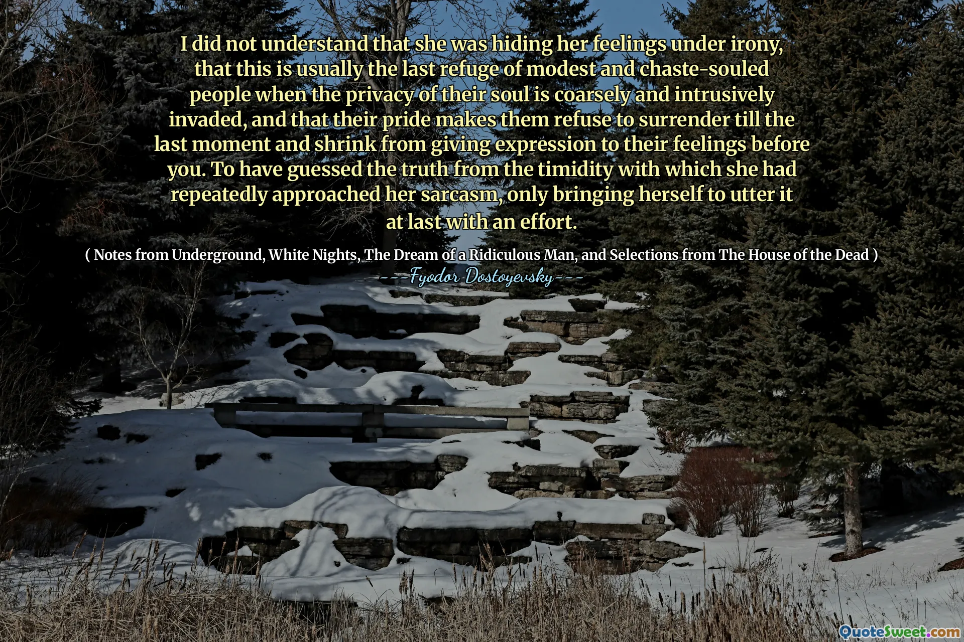 I did not understand that she was hiding her feelings under irony, that this is usually the last refuge of modest and chaste-souled people when the privacy of their soul is coarsely and intrusively invaded, and that their pride makes them refuse to surrender till the last moment and shrink from giving expression to their feelings before you. To have guessed the truth from the timidity with which she had repeatedly approached her sarcasm, only bringing herself to utter it at last with an effort.