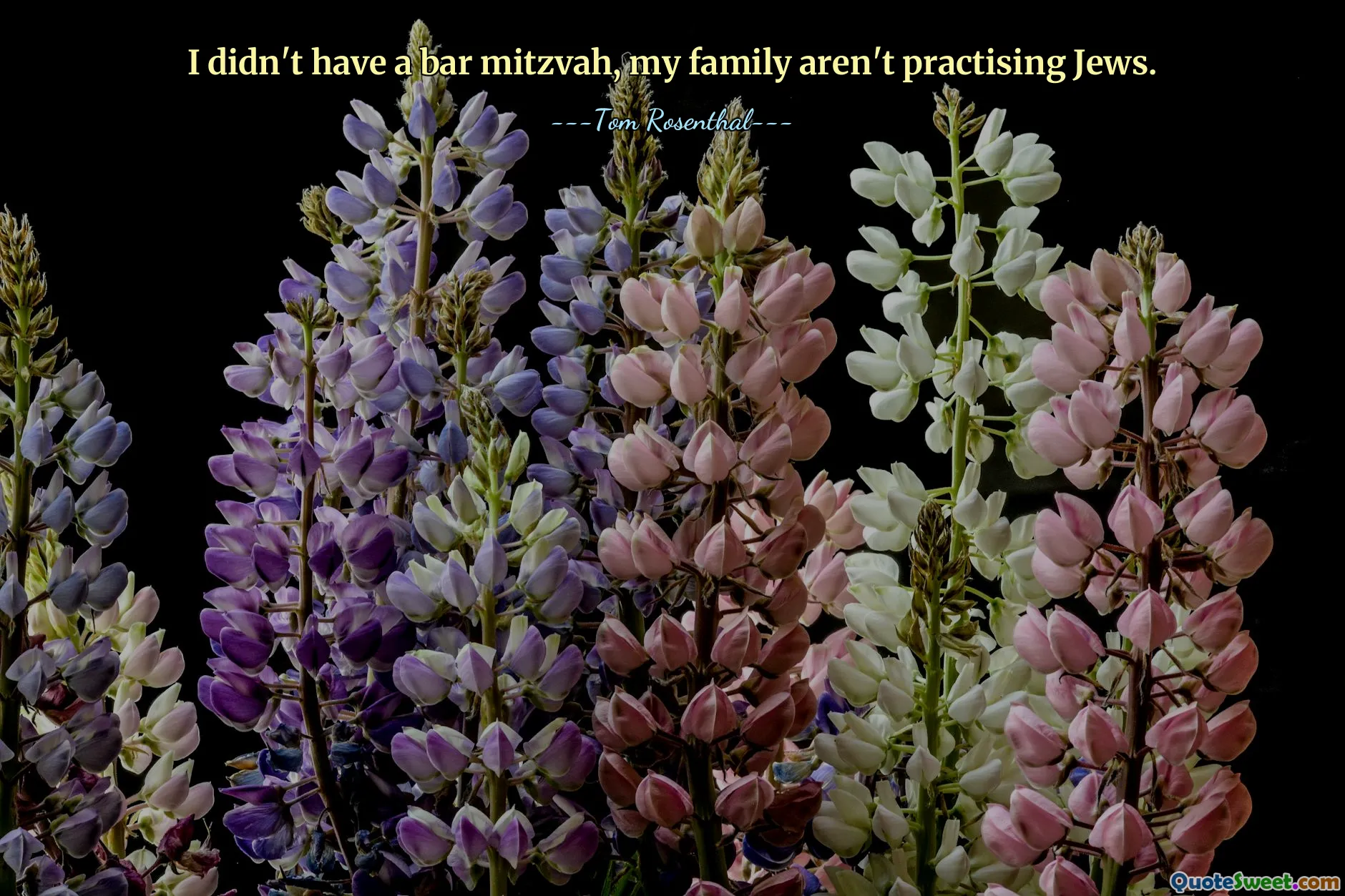 I didn't have a bar mitzvah, my family aren't practising Jews.