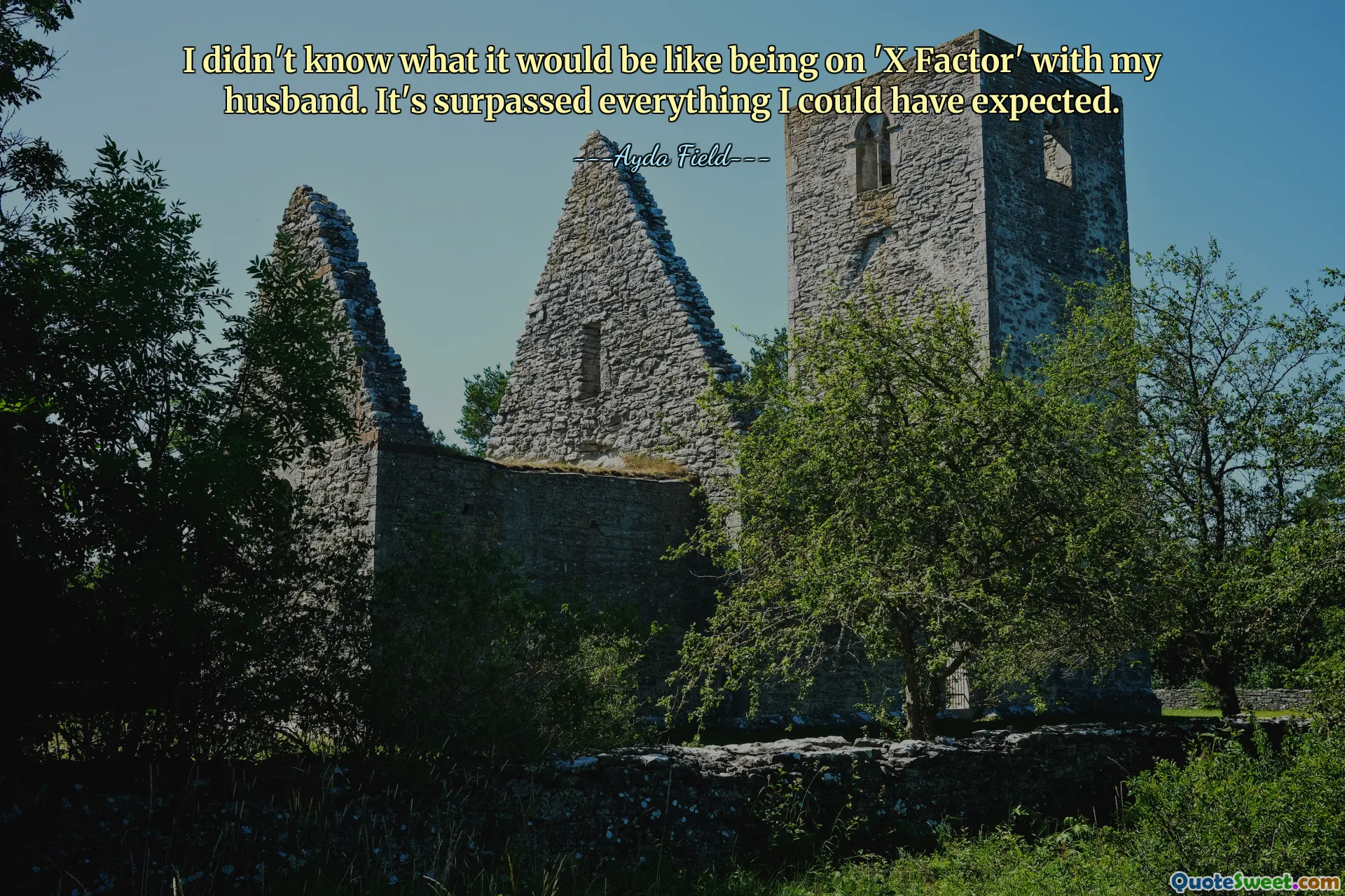 არ ვიცოდი, როგორი იქნებოდა ჩემს ქმართან ერთად 'X ფაქტორზე' ყოფნა. ეს გადააჭარბა ყველაფერს, რასაც ველოდი.