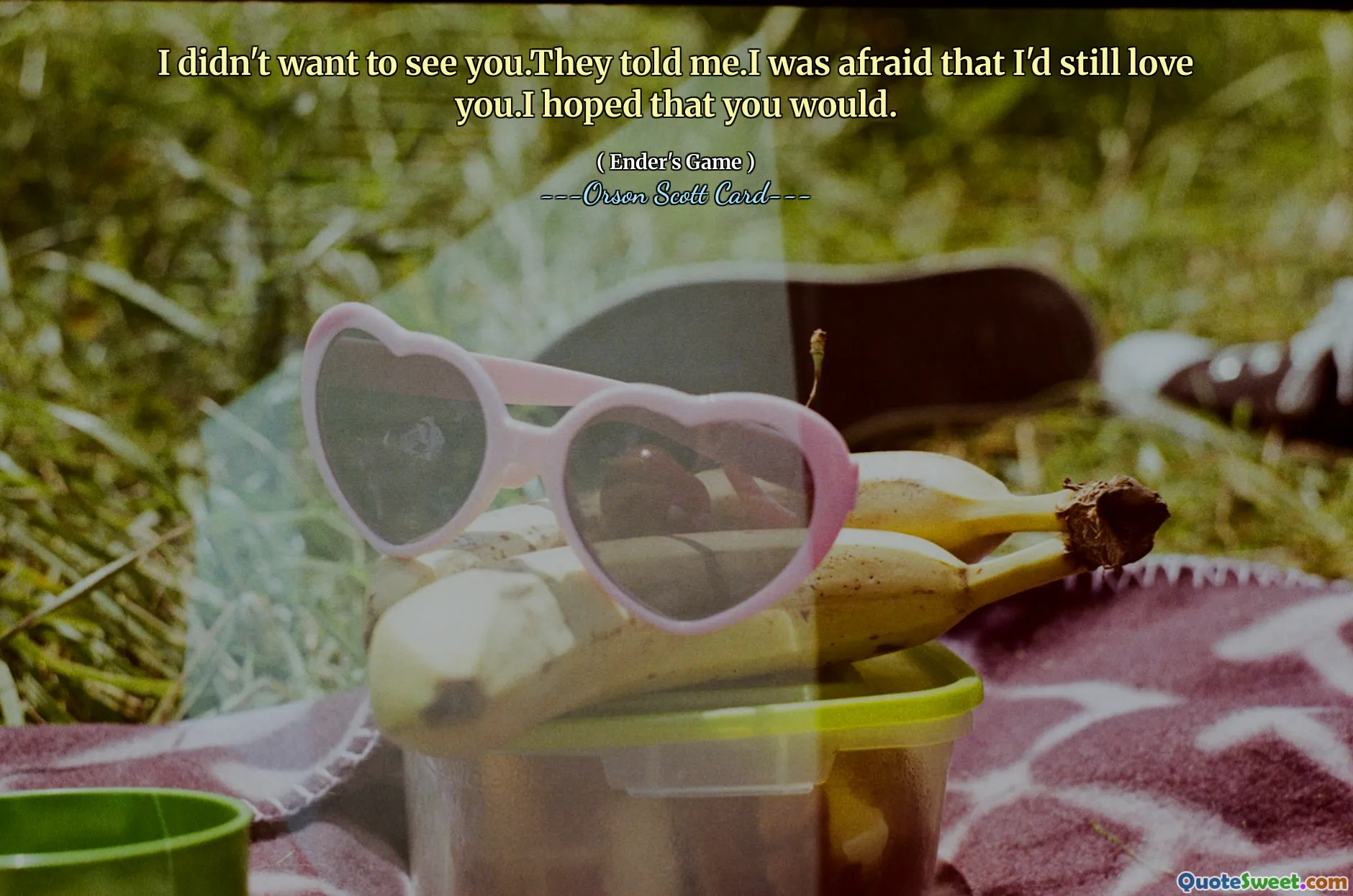 我不想见到你。他们告诉我的。我担心我仍然爱你。我希望你会。