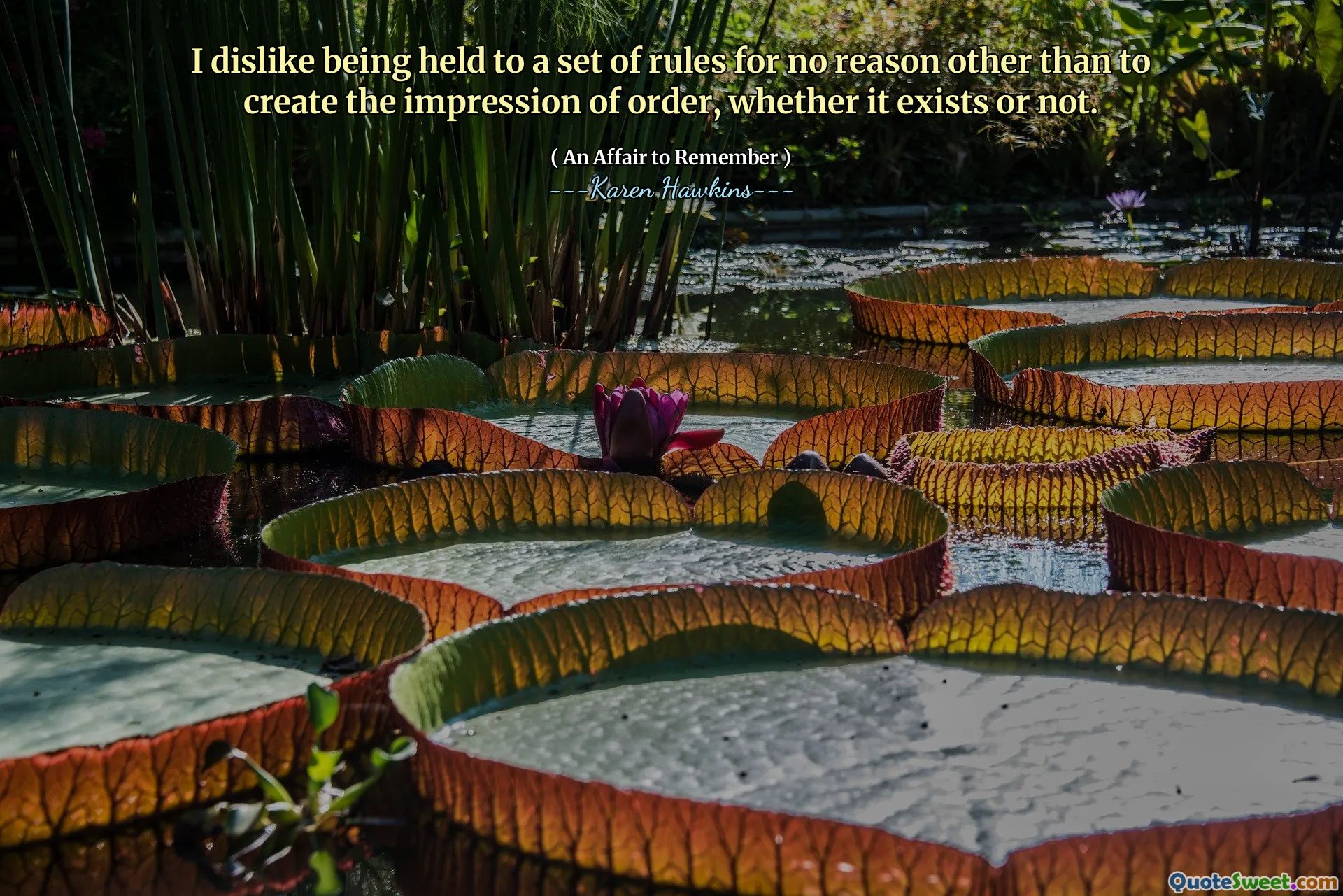 I dislike being held to a set of rules for no reason other than to create the impression of order, whether it exists or not.