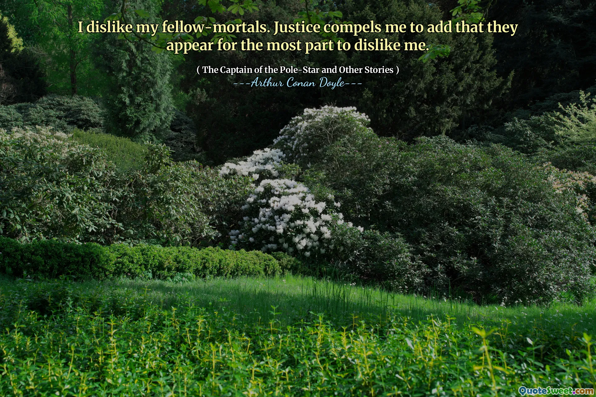 I dislike my fellow-mortals. Justice compels me to add that they appear for the most part to dislike me.