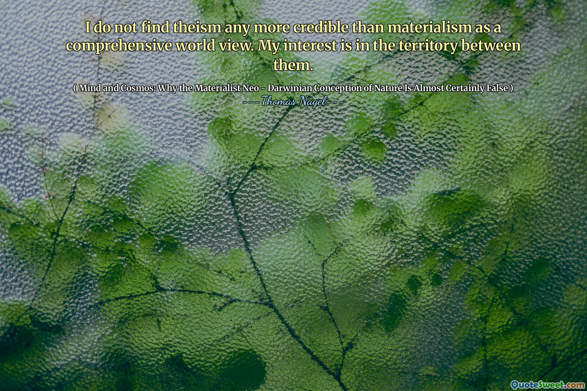 I do not find theism any more credible than materialism as a comprehensive world view. My interest is in the territory between them.