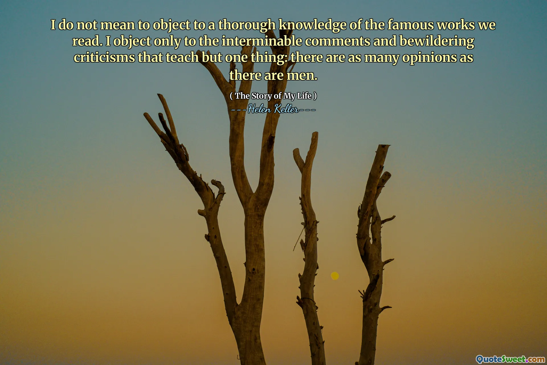 I do not mean to object to a thorough knowledge of the famous works we read. I object only to the interminable comments and bewildering criticisms that teach but one thing: there are as many opinions as there are men.