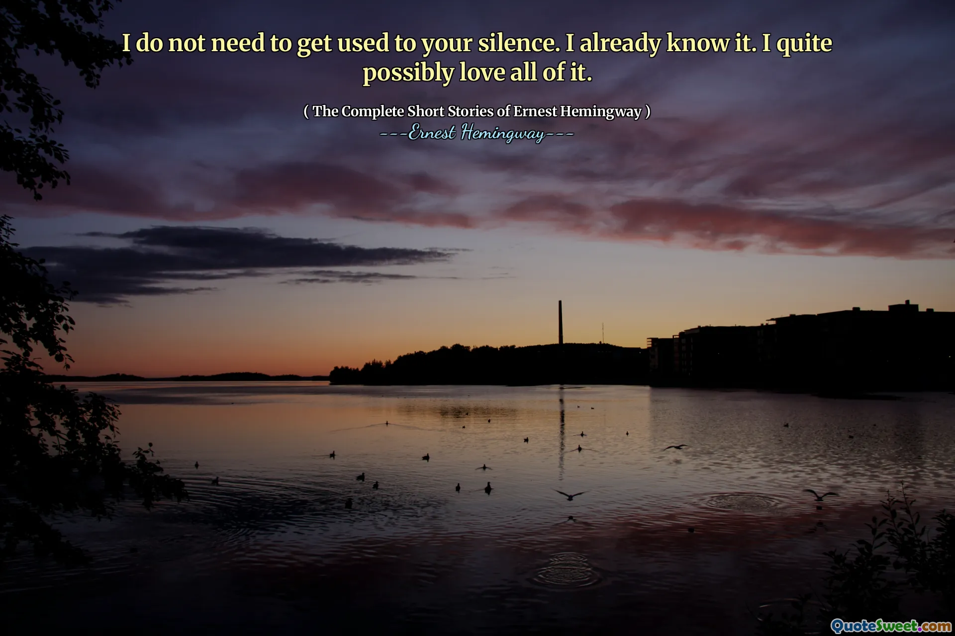 I do not need to get used to your silence. I already know it. I quite possibly love all of it.