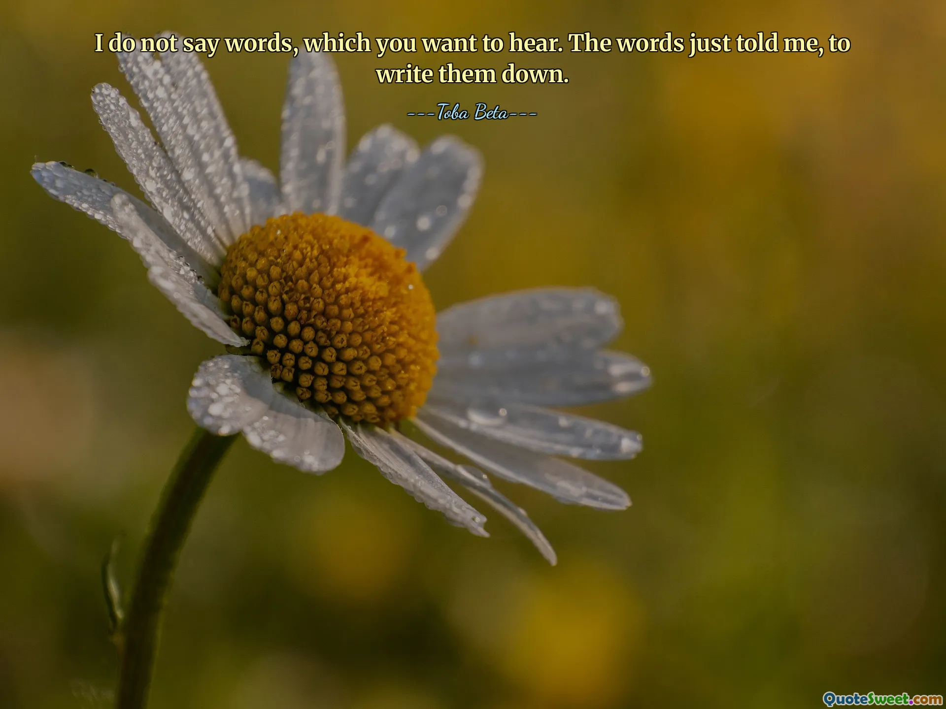 I do not say words, which you want to hear. The words just told me, to write them down.