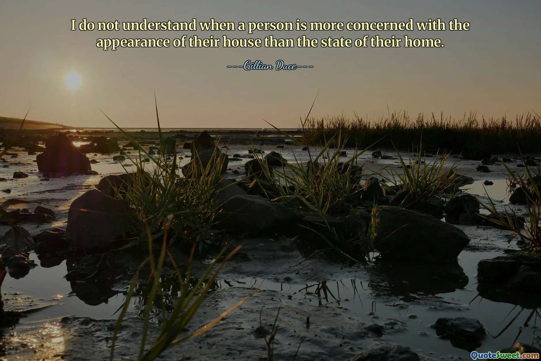 I do not understand when a person is more concerned with the appearance of their house than the state of their home.