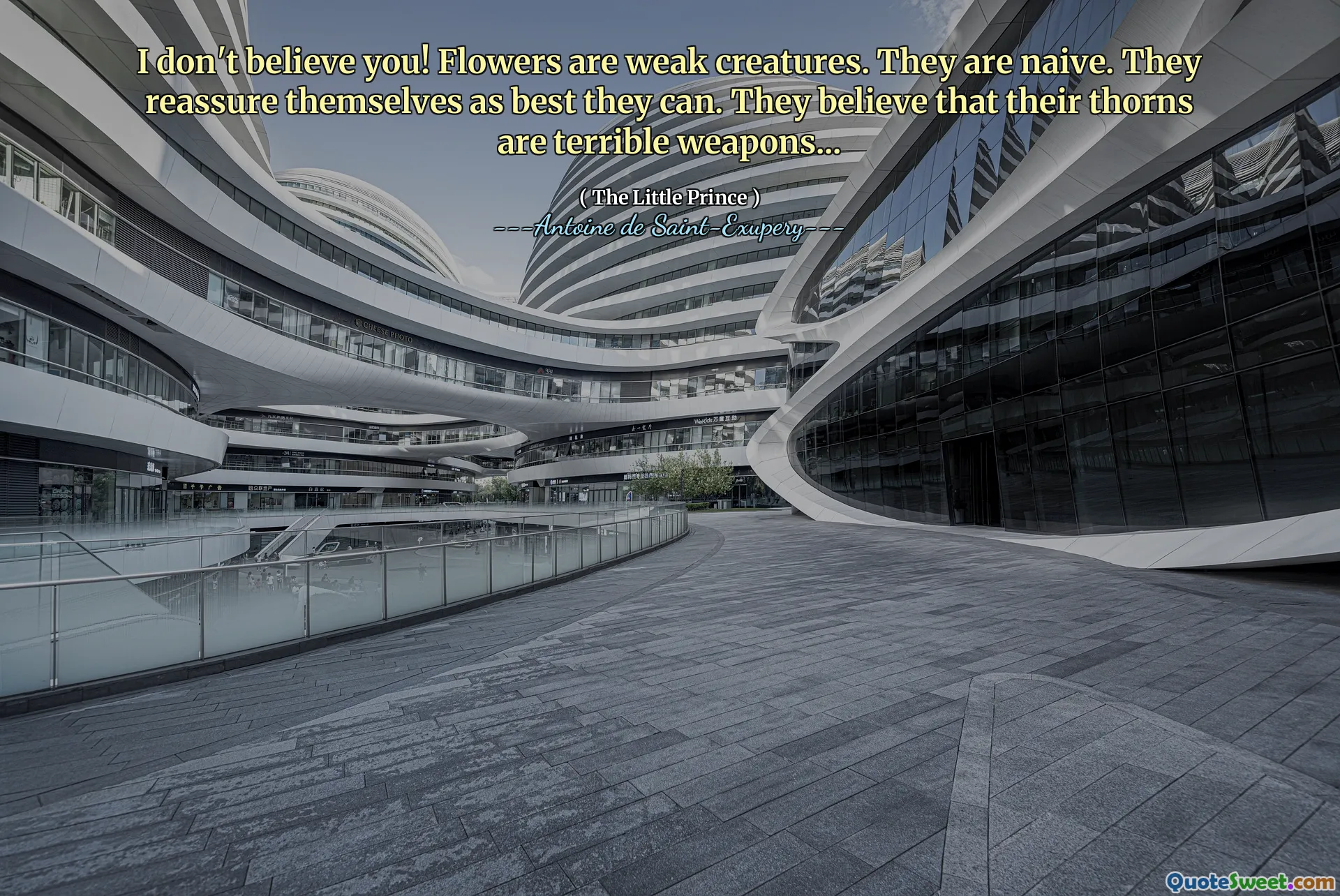 I don't believe you! Flowers are weak creatures. They are naive. They reassure themselves as best they can. They believe that their thorns are terrible weapons...