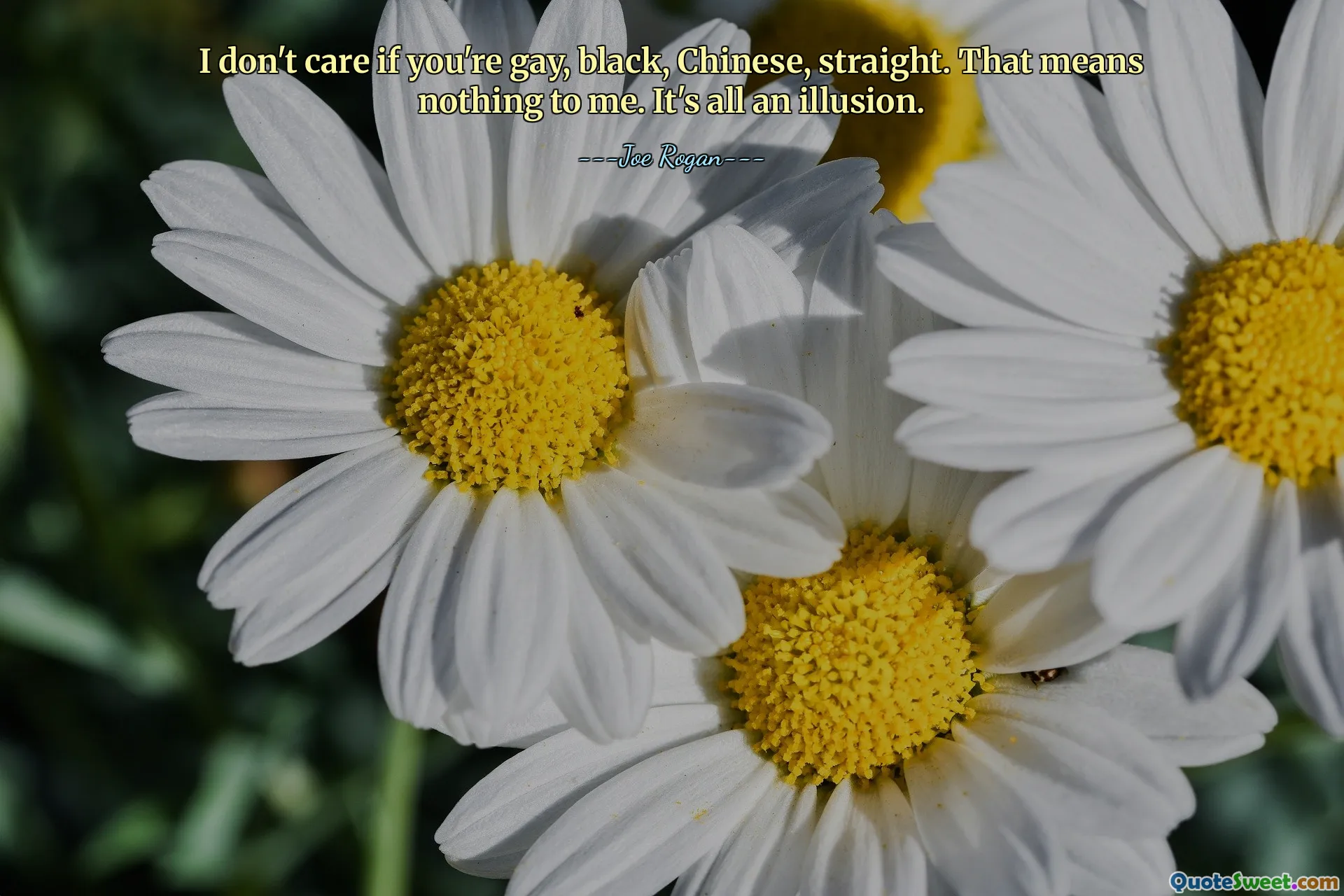 I don't care if you're gay, black, Chinese, straight. That means nothing to me. It's all an illusion.