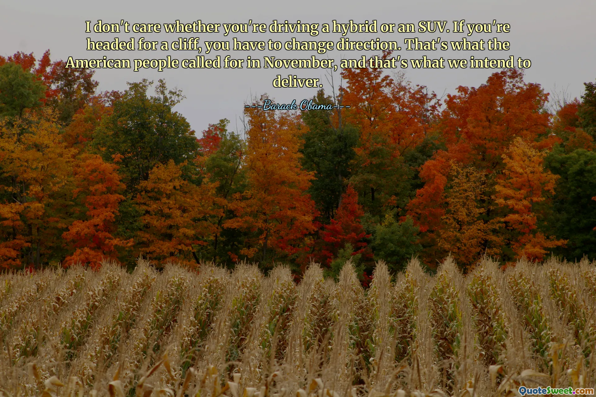 I don't care whether you're driving a hybrid or an SUV. If you're headed for a cliff, you have to change direction. That's what the American people called for in November, and that's what we intend to deliver.