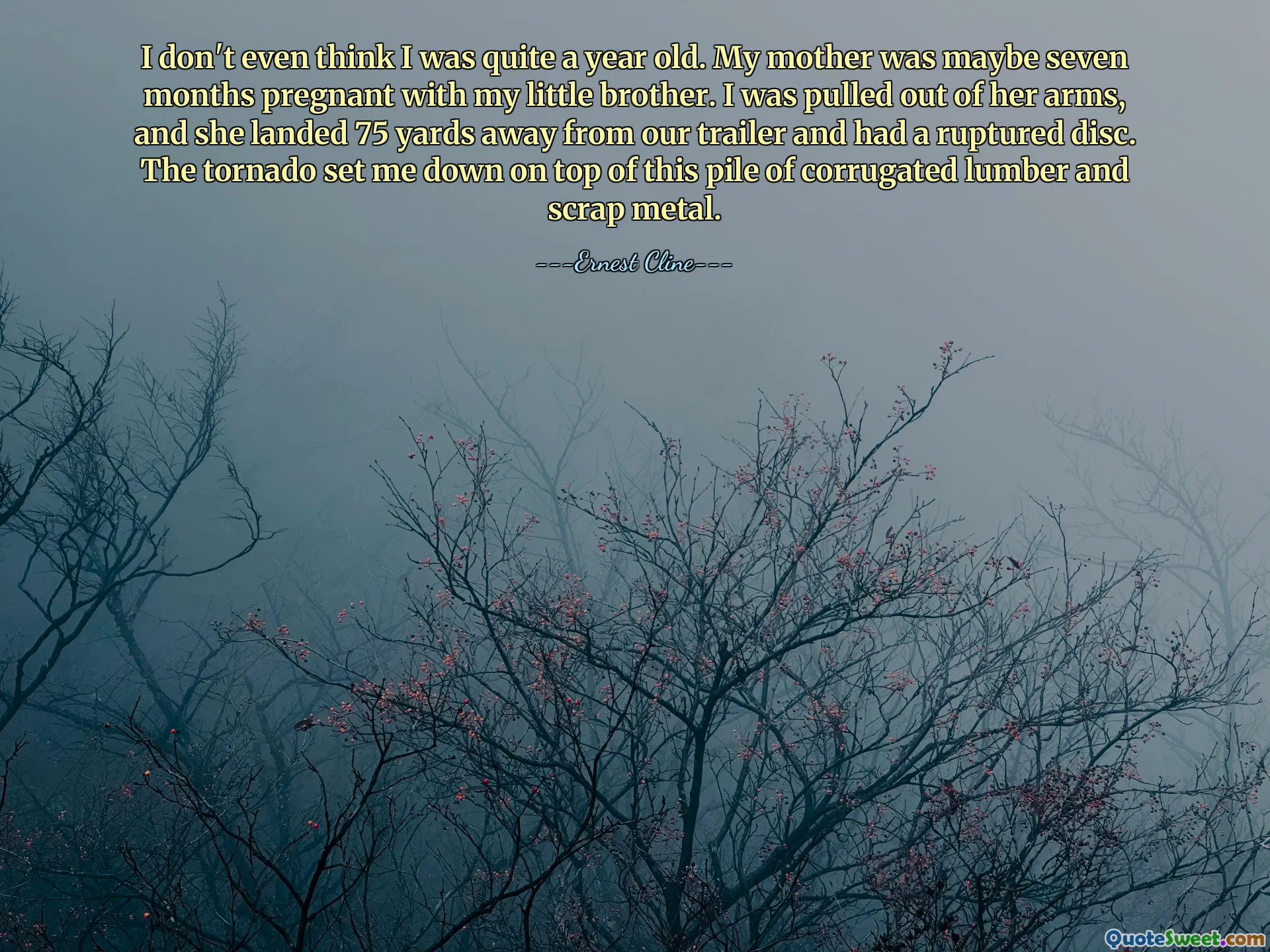 I don't even think I was quite a year old. My mother was maybe seven months pregnant with my little brother. I was pulled out of her arms, and she landed 75 yards away from our trailer and had a ruptured disc. The tornado set me down on top of this pile of corrugated lumber and scrap metal.