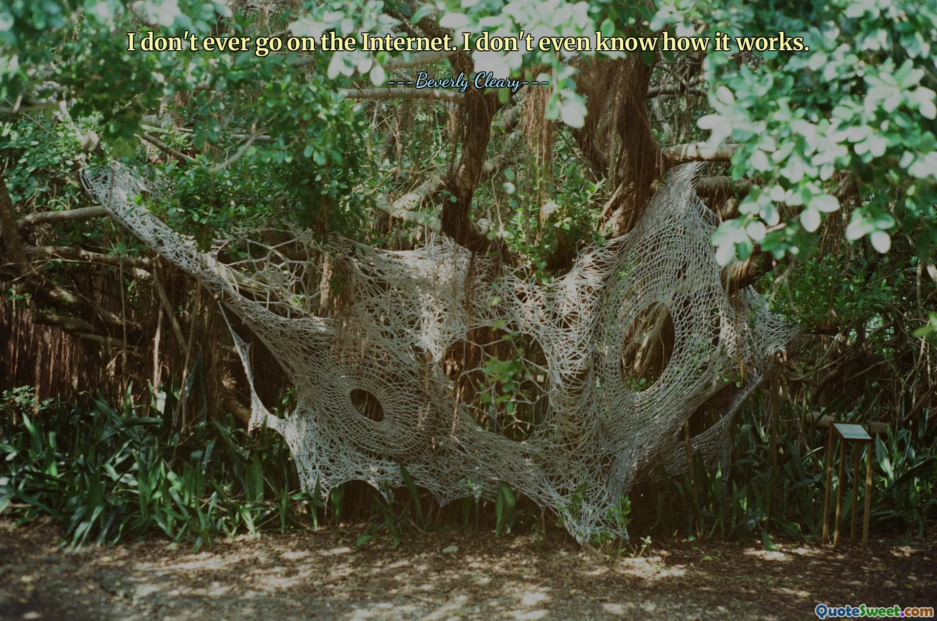 Saya tidak pernah menggunakan Internet. Saya bahkan tidak tahu cara kerjanya.