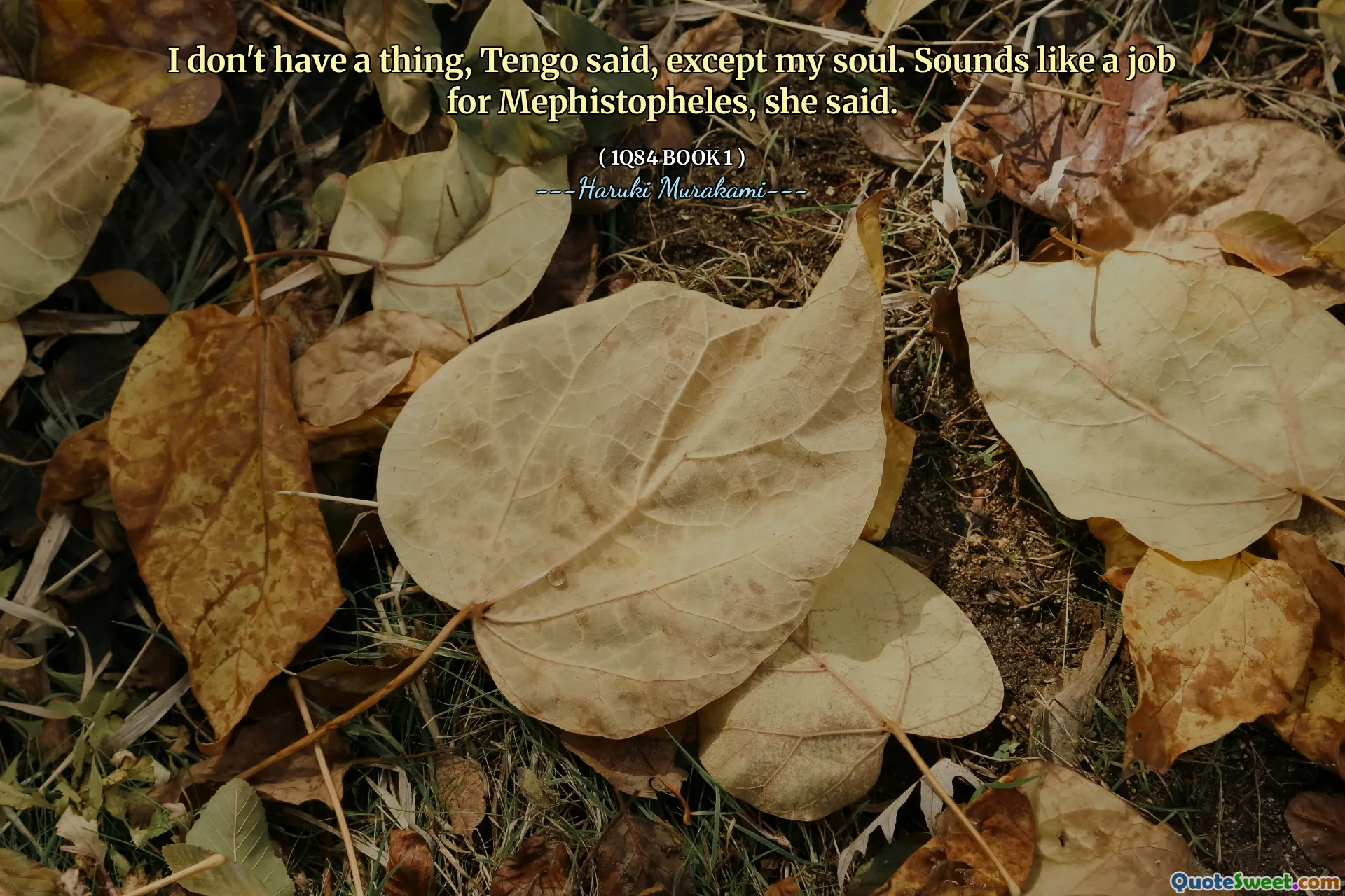 I don't have a thing, Tengo said, except my soul. Sounds like a job for Mephistopheles, she said.