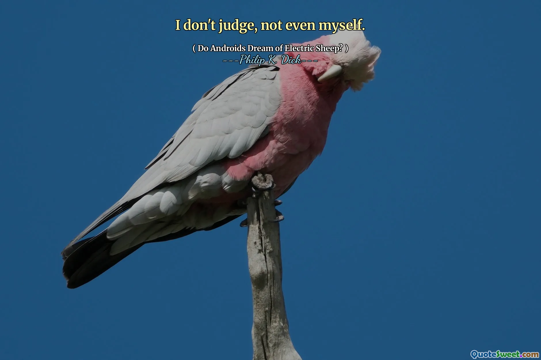 Ik oordeel niet, zelfs ikzelf niet.