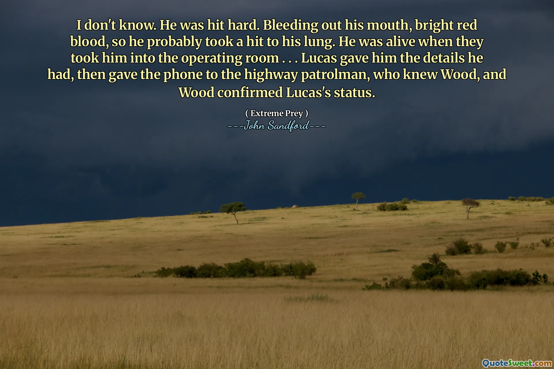 I don't know. He was hit hard. Bleeding out his mouth, bright red blood, so he probably took a hit to his lung. He was alive when they took him into the operating room . . . Lucas gave him the details he had, then gave the phone to the highway patrolman, who knew Wood, and Wood confirmed Lucas's status.