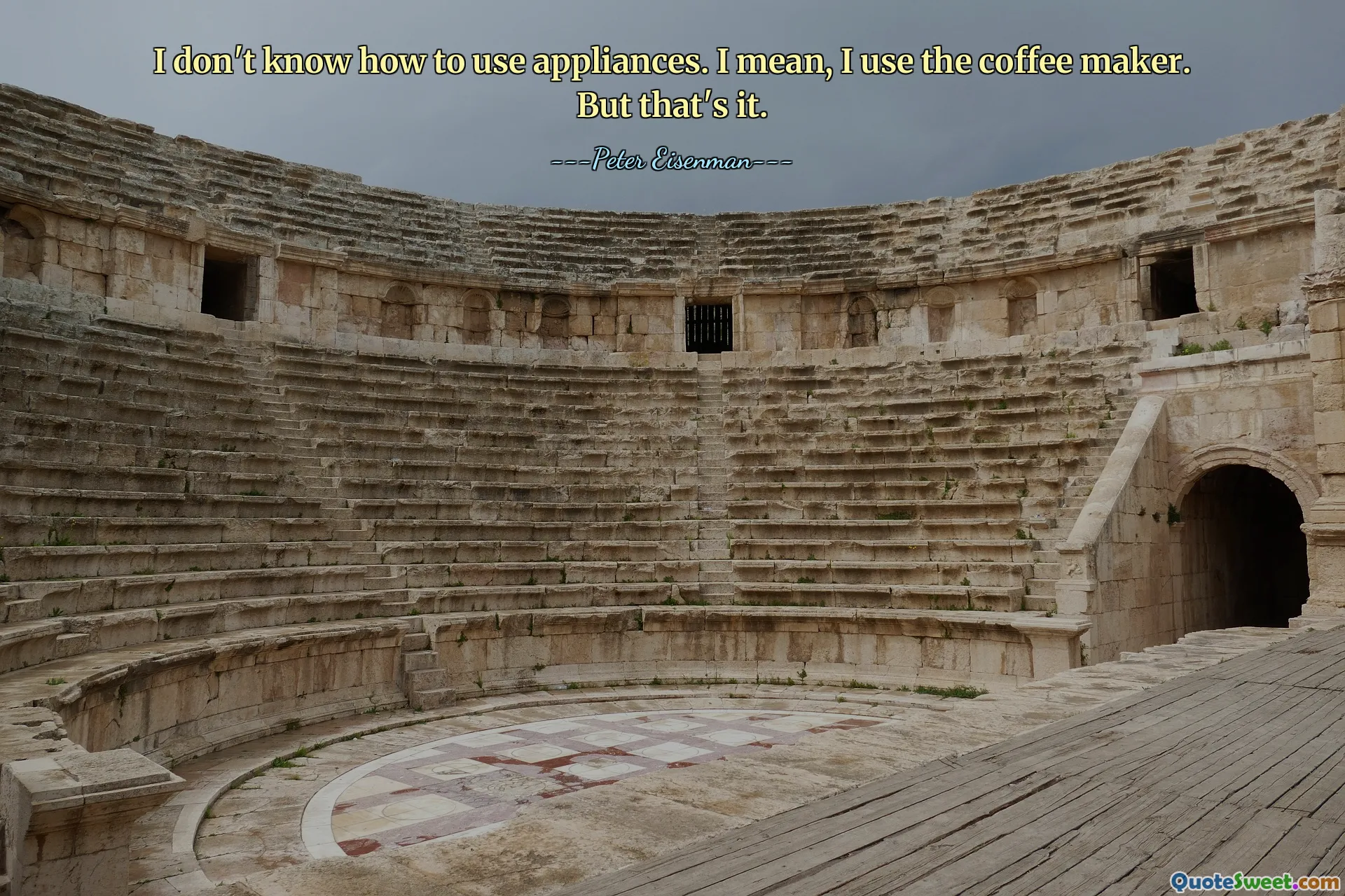 I don't know how to use appliances. I mean, I use the coffee maker. But that's it.