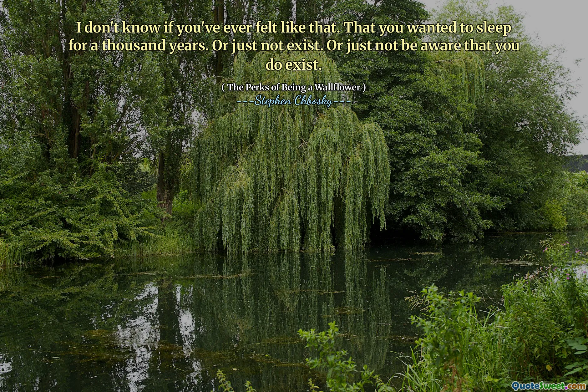 I don't know if you've ever felt like that. That you wanted to sleep for a thousand years. Or just not exist. Or just not be aware that you do exist.