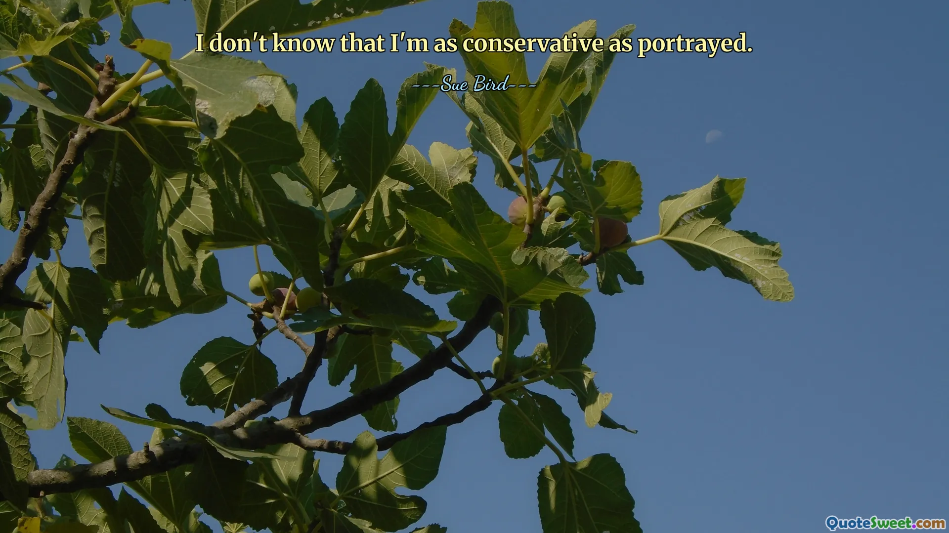 I don't know that I'm as conservative as portrayed.