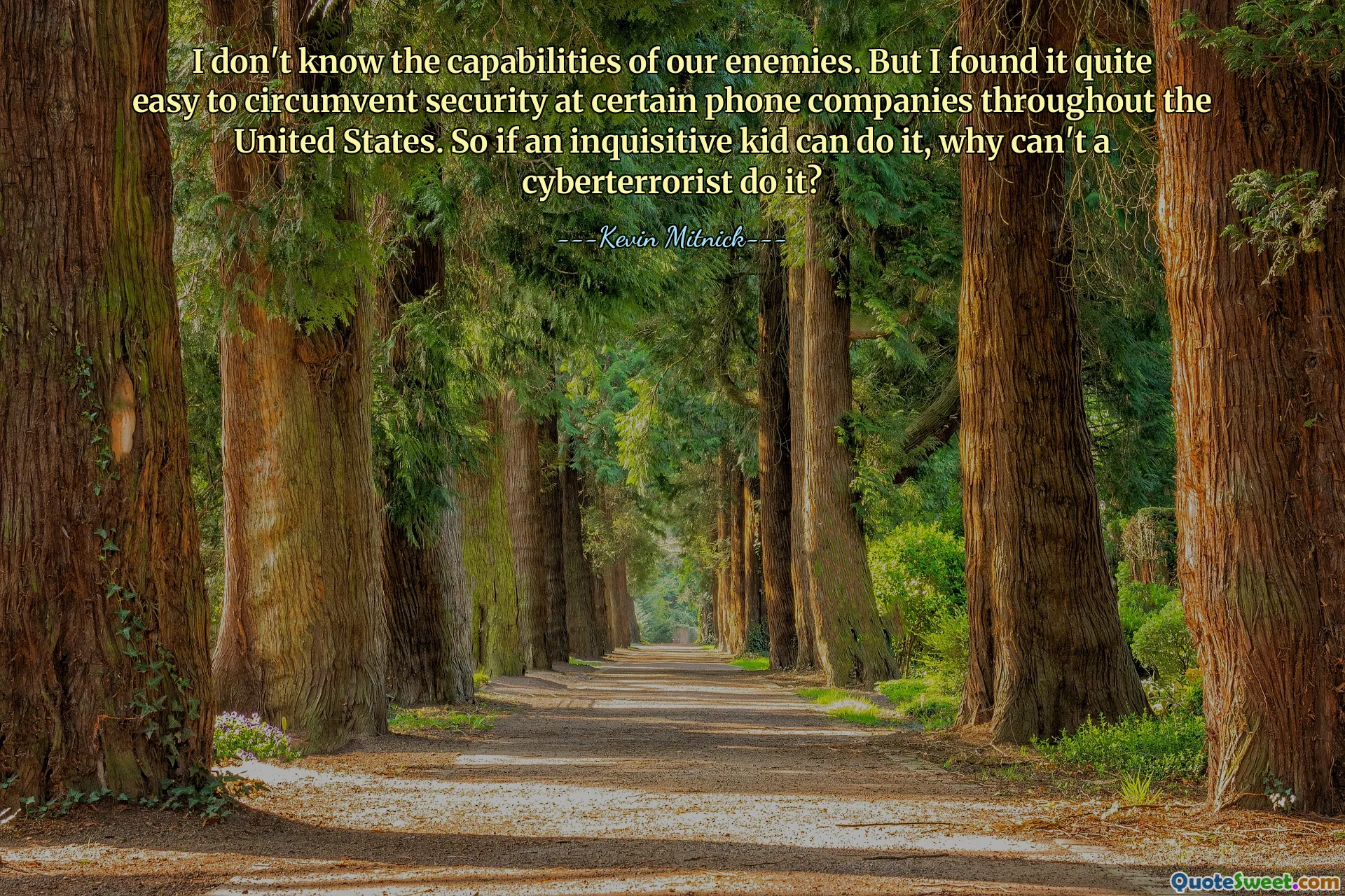 I don't know the capabilities of our enemies. But I found it quite easy to circumvent security at certain phone companies throughout the United States. So if an inquisitive kid can do it, why can't a cyberterrorist do it?